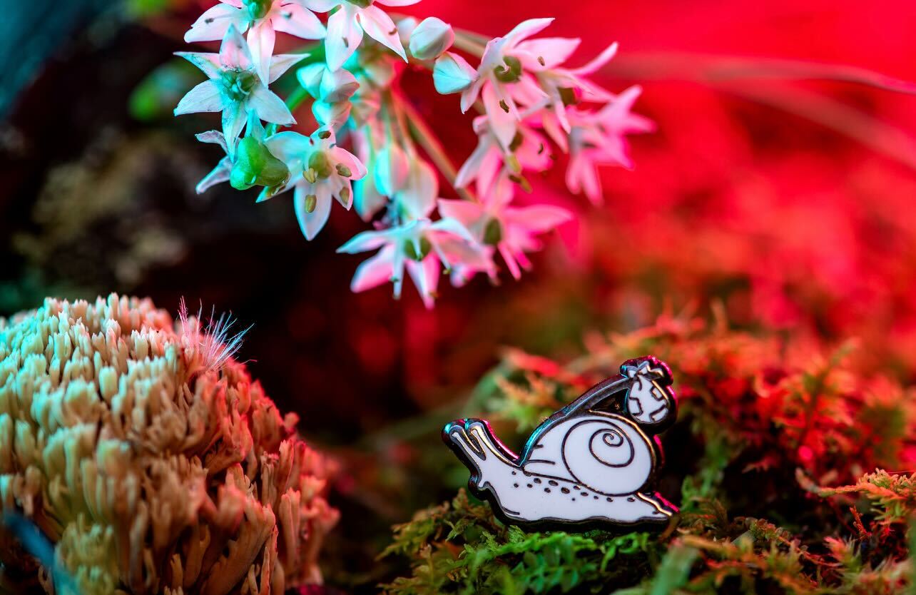 The Roving World - The Roving House