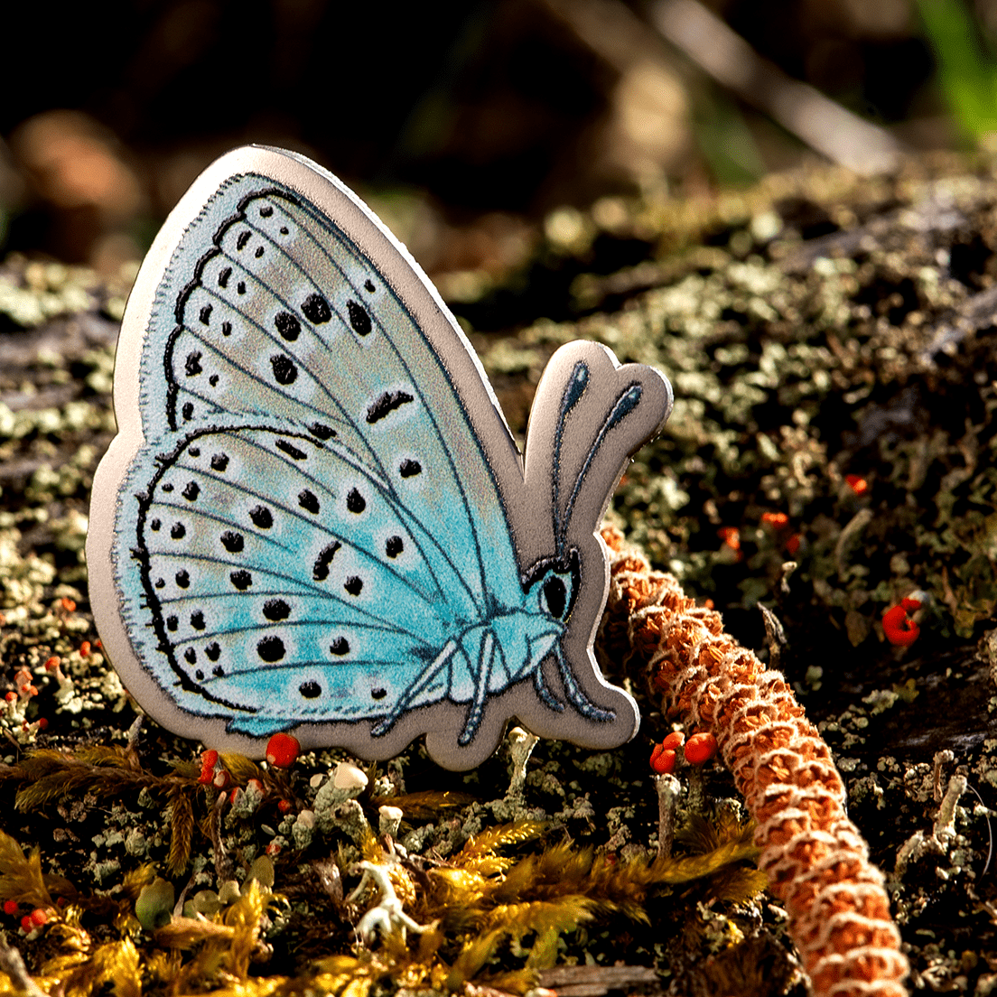 Large Blue Butterfly Enamel Pin | Ventral View by The Roving House