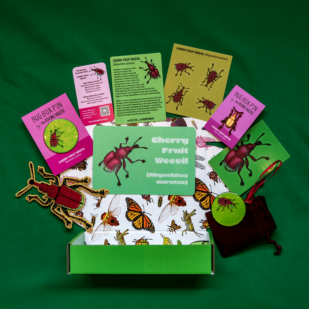 Cherry - fruit Weevil Bug Box by The Roving House