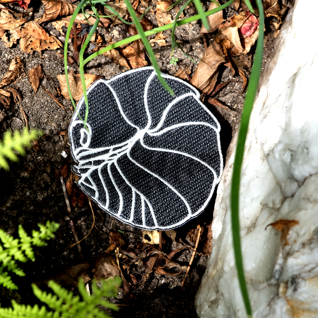 Isopod Bug Box by The Roving House