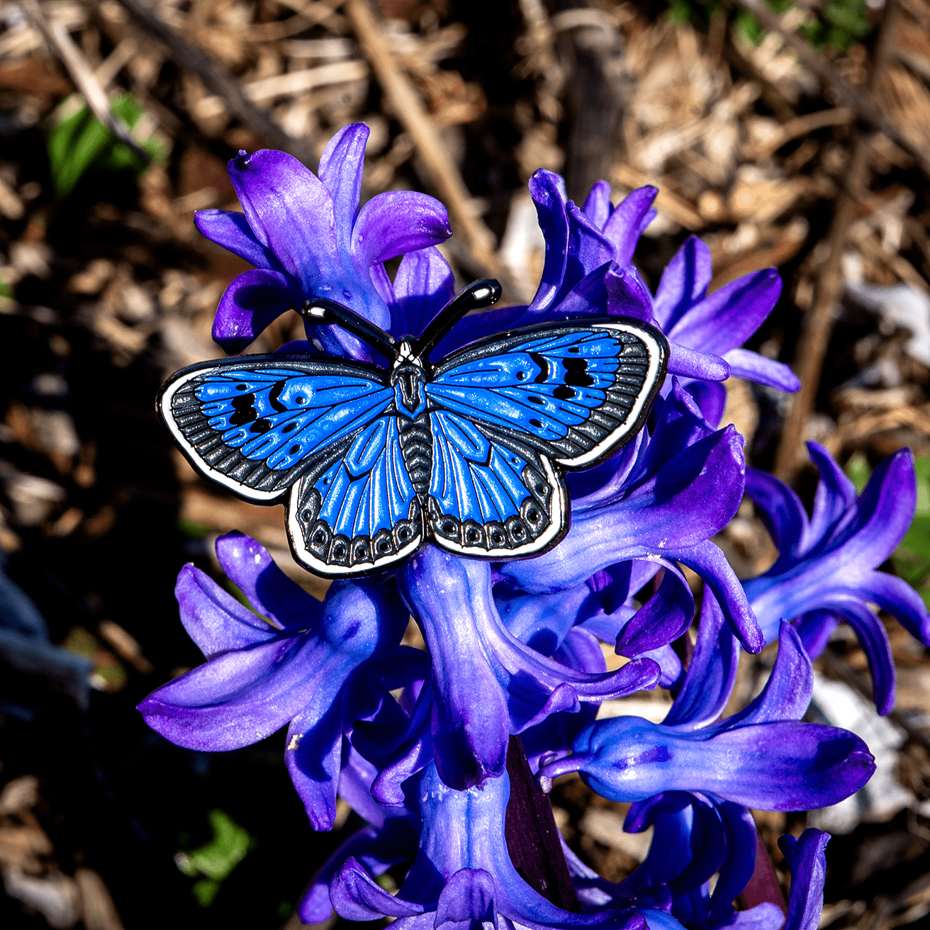 Large Blue Butterfly Enamel Pin by The Roving House