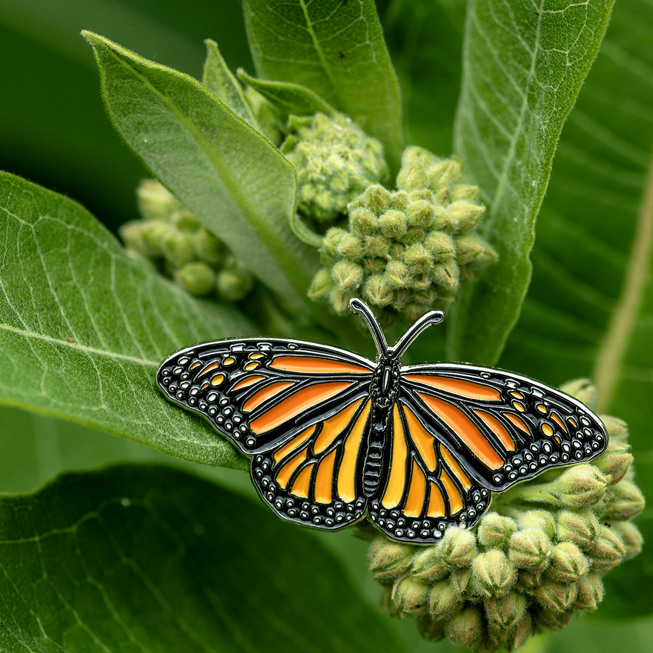 Monarch Butterfly Enamel Pin by The Roving House