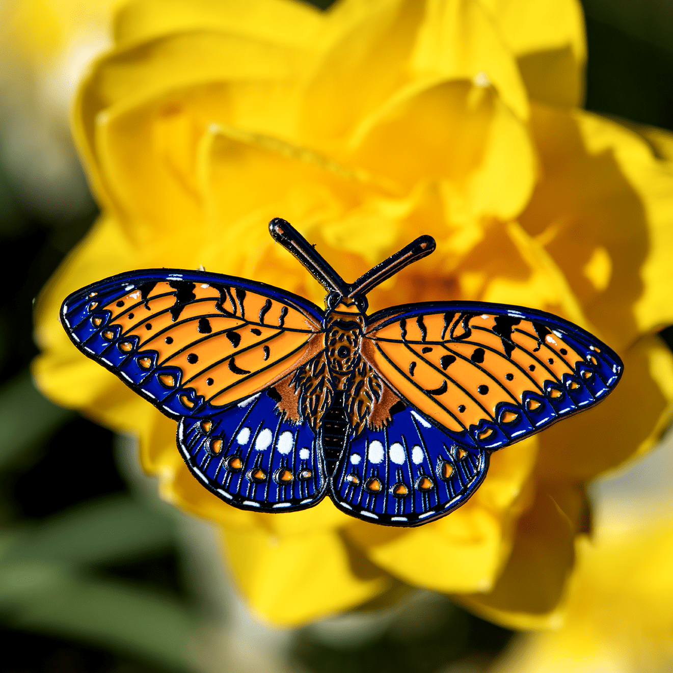 Regal Fritillary Male Butterfly Enamel Pin by The Roving House