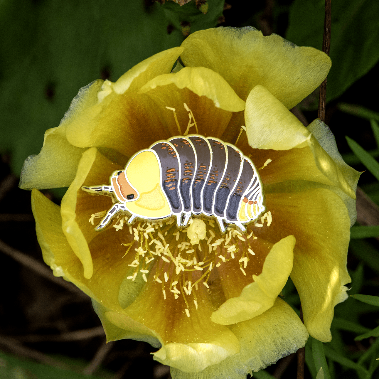 Rubber Ducky Isopod Enamel Pin by The Roving House
