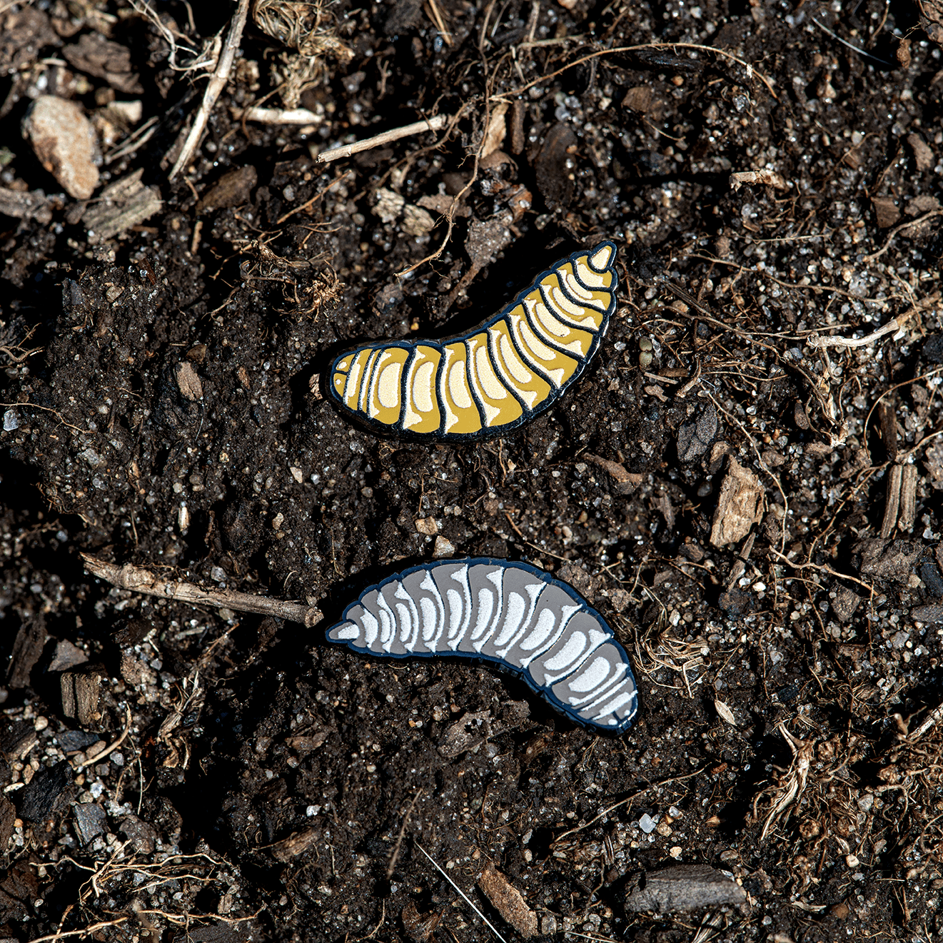 Black Soldier Fly Larva & Pupa Enamel Pin Set by The Roving House