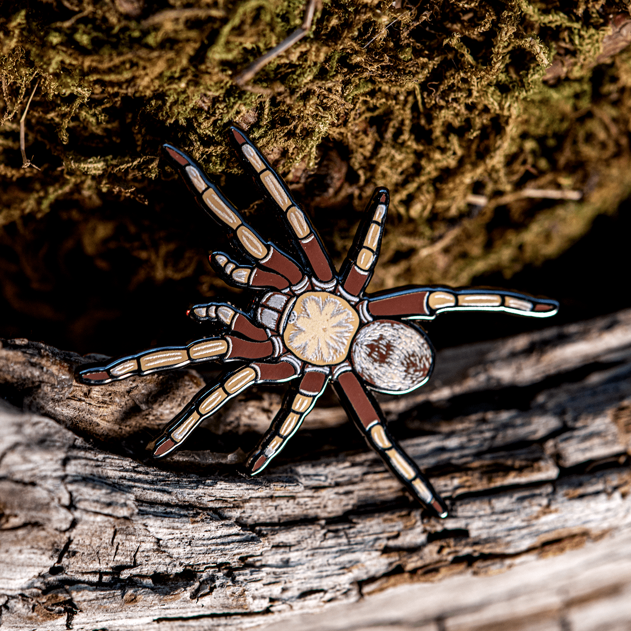 Arizona Blonde Tarantula Enamel Pin by The Roving House
