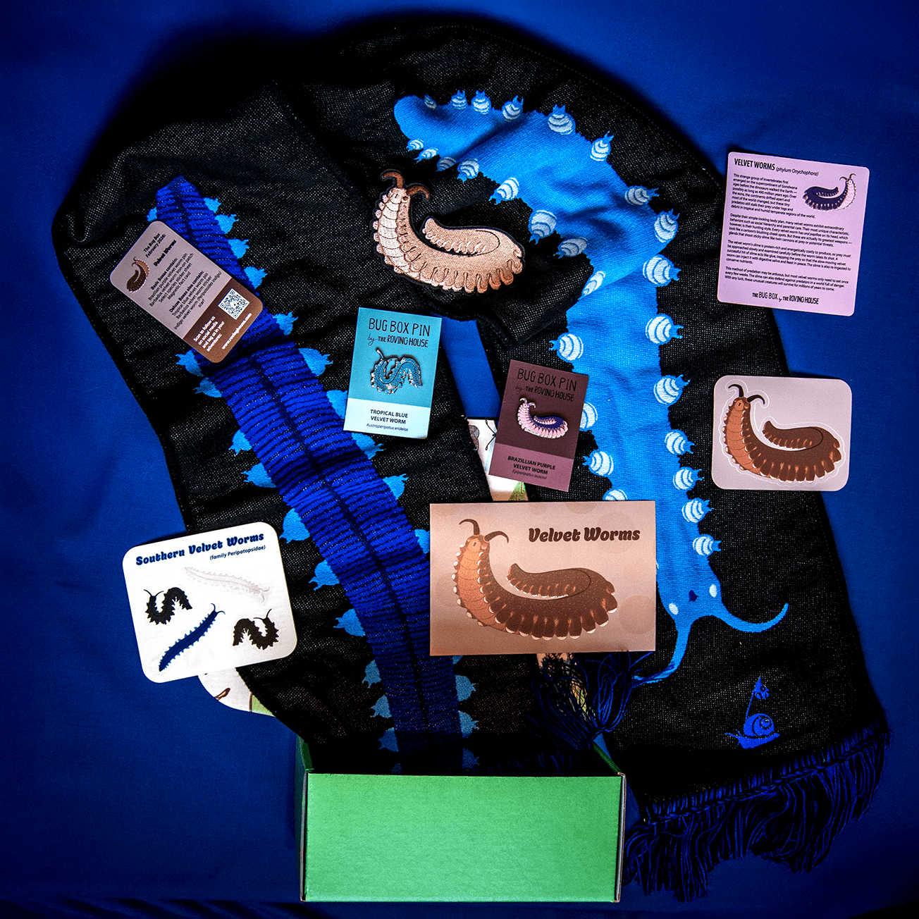 Velvet Worm Bug Box by The Roving House