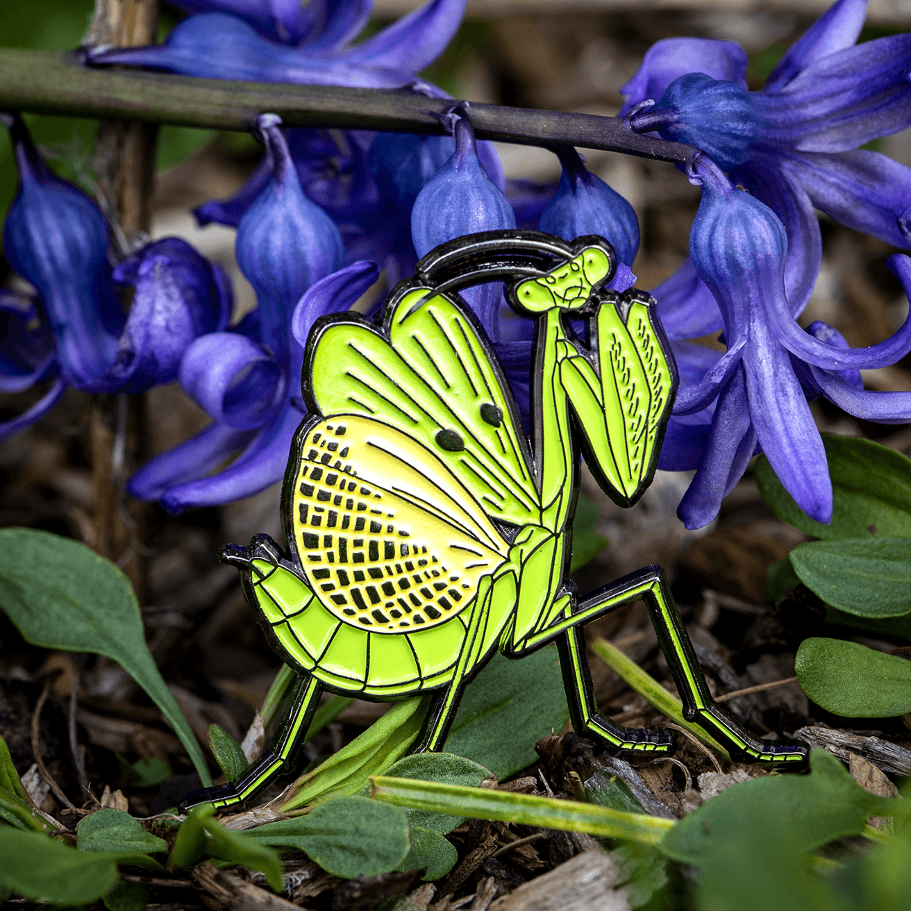 Carolina Mantis Female Enamel Pin by The Roving House