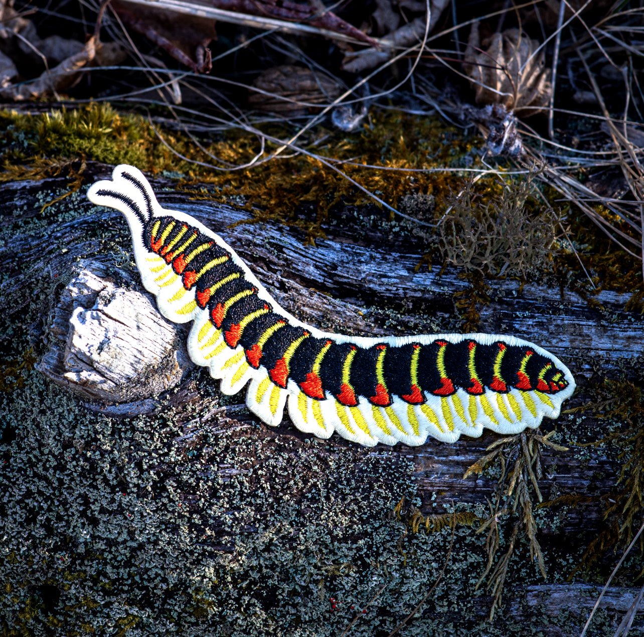 Kentucky Flat - backed Millipede Iron - on Patch by The Roving House
