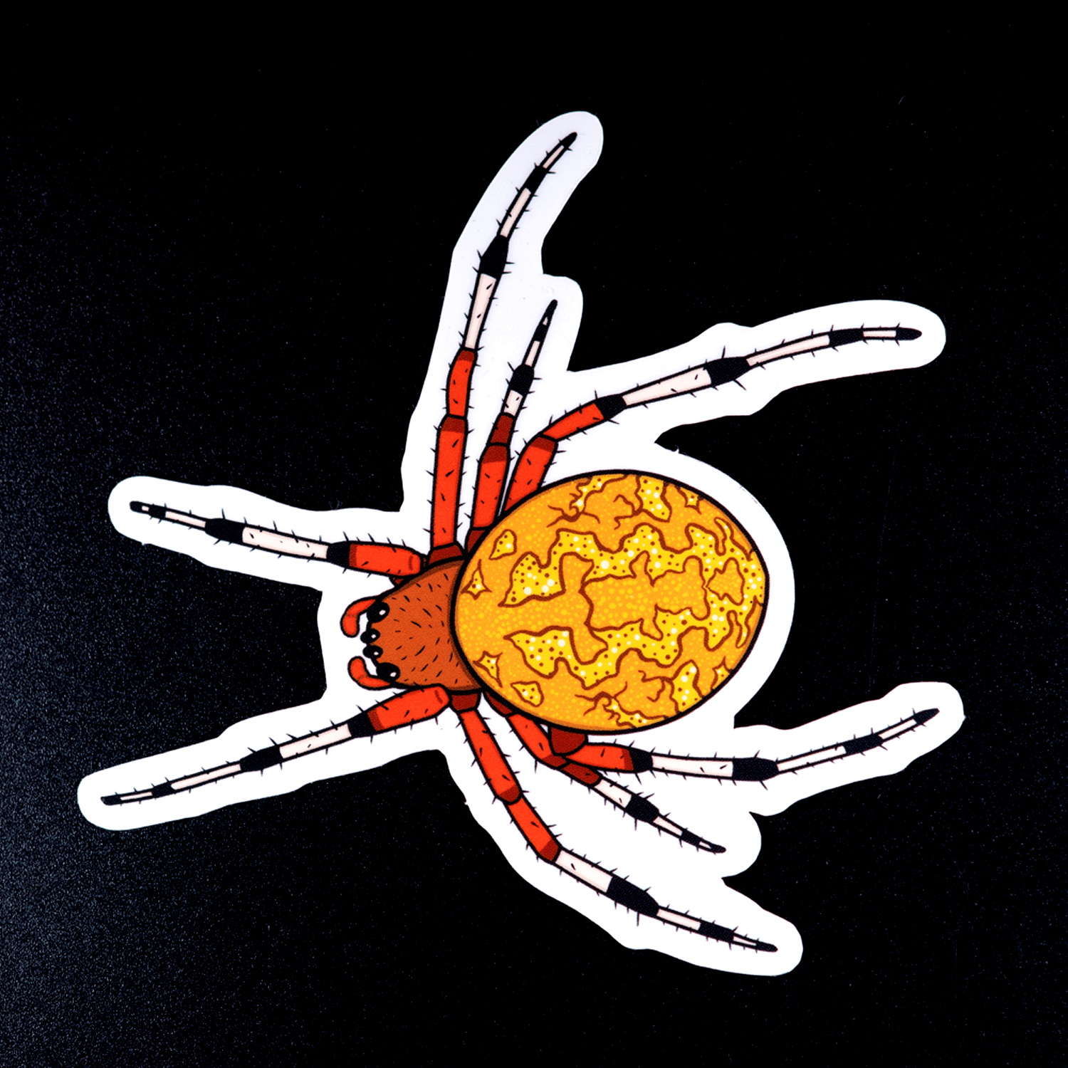 Marbled Orb Weaver Sticker by The Roving House