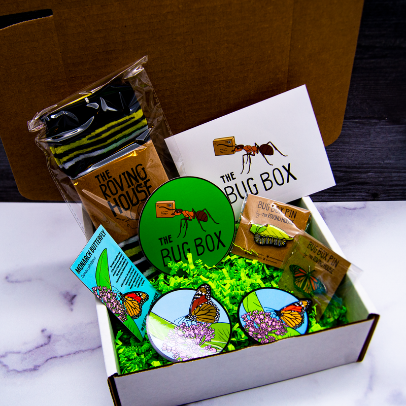 The Bug Box – The Roving House