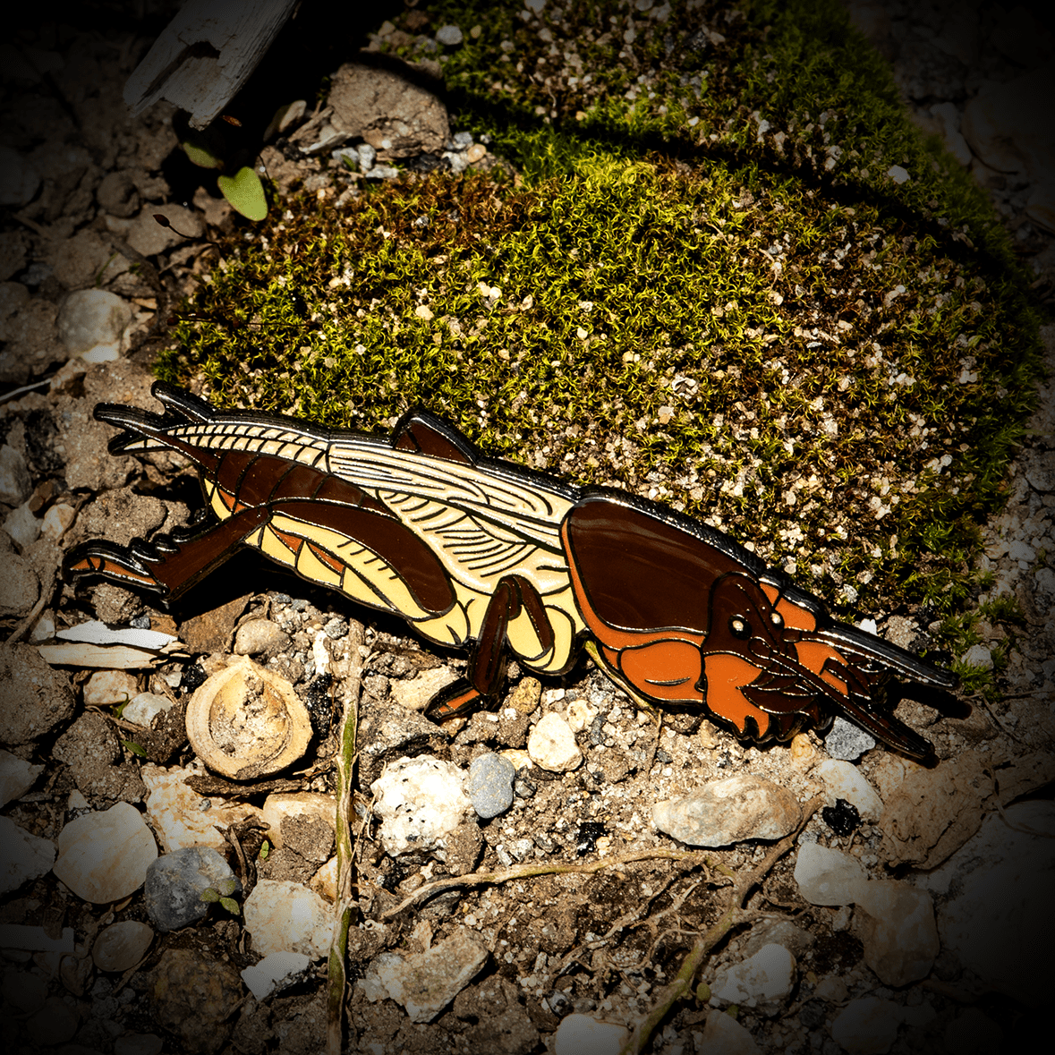 European Mole Cricket Enamel Pin by The Roving House