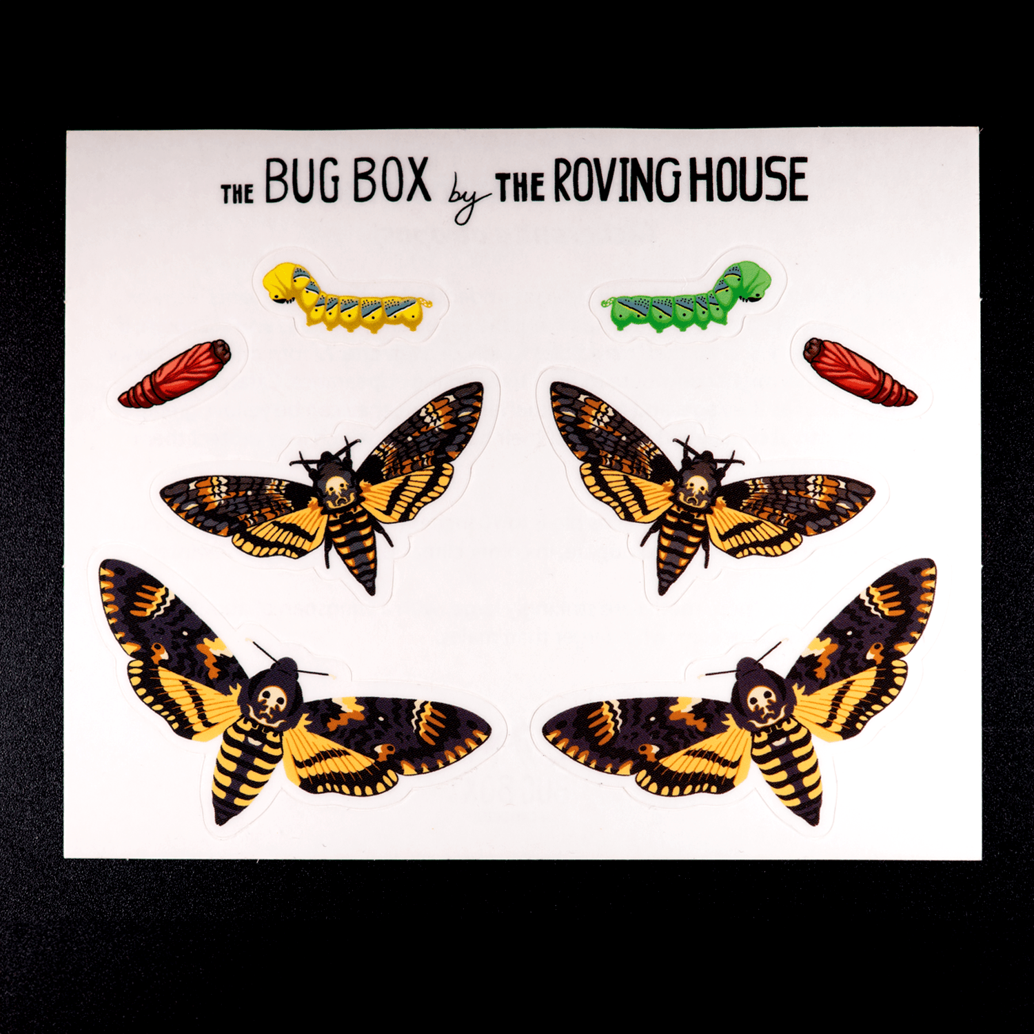 African Death's - head Hawkmoth Sticker Sheet by The Roving House