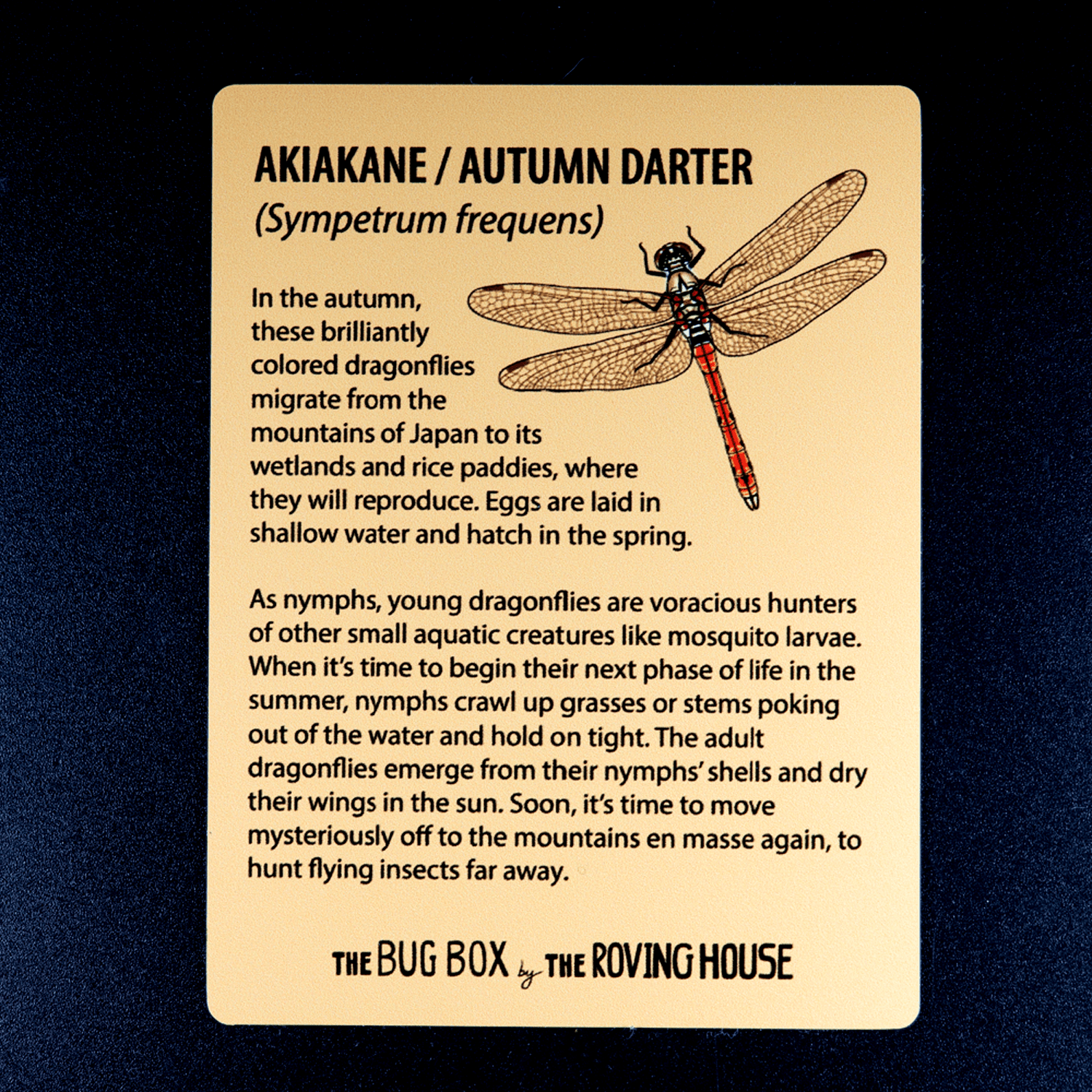 Bug Box Fact Magnets by The Roving House