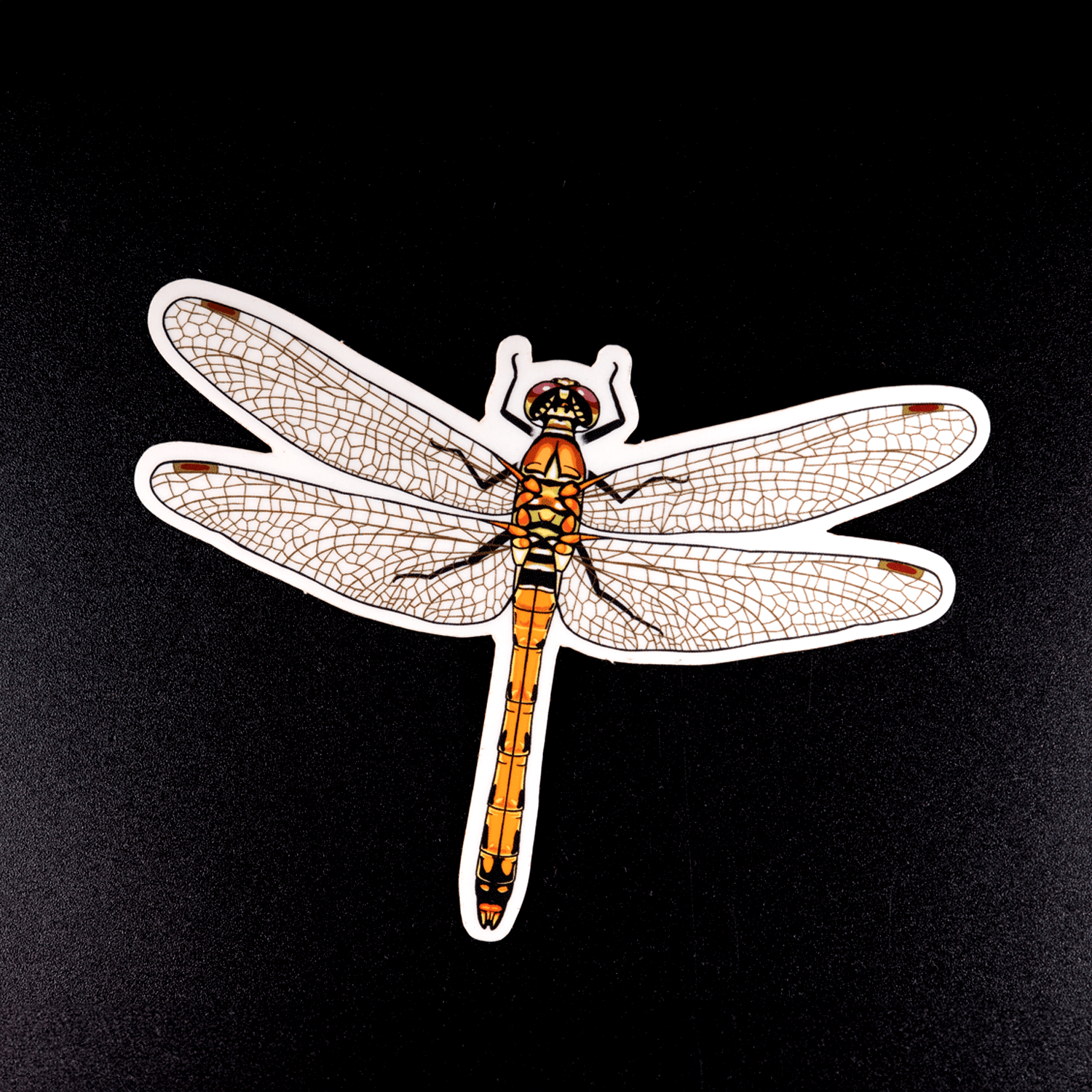 Autumn Darter Dragonfly Sticker by The Roving House