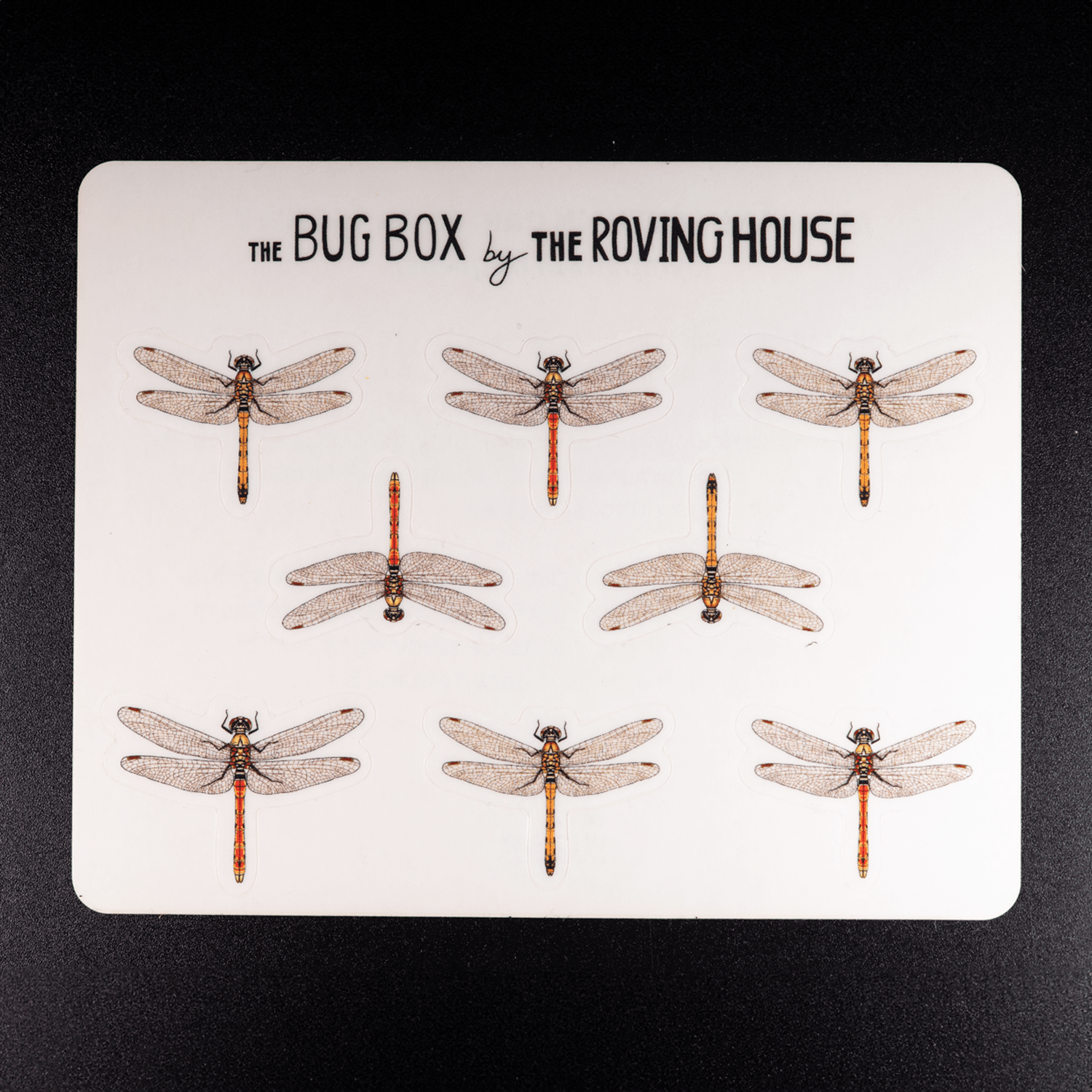 Akiakane Autumn Darter Red Dragonfly Sticker Sheet by The Roving House