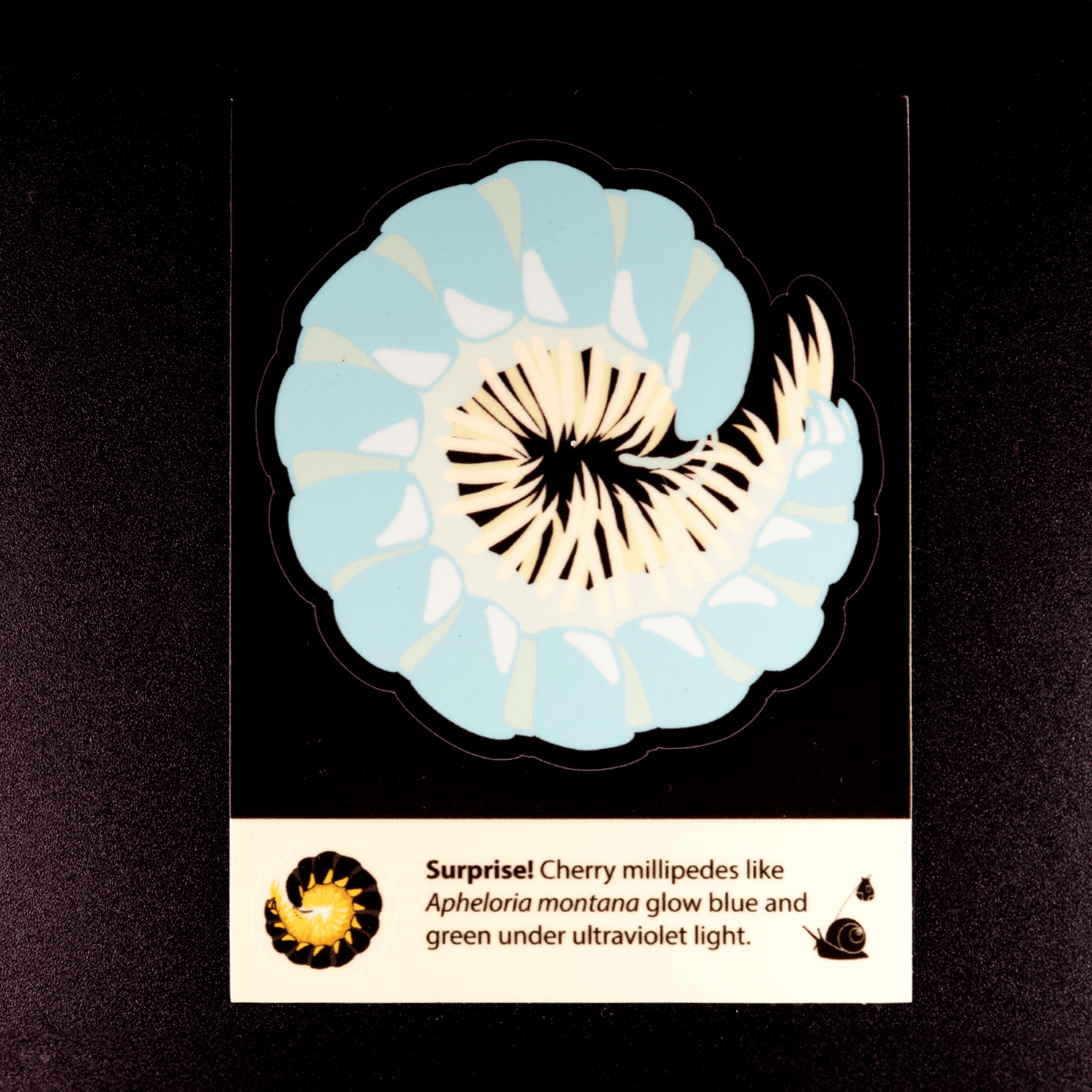 Cherry Millipede Sticker by The Roving House