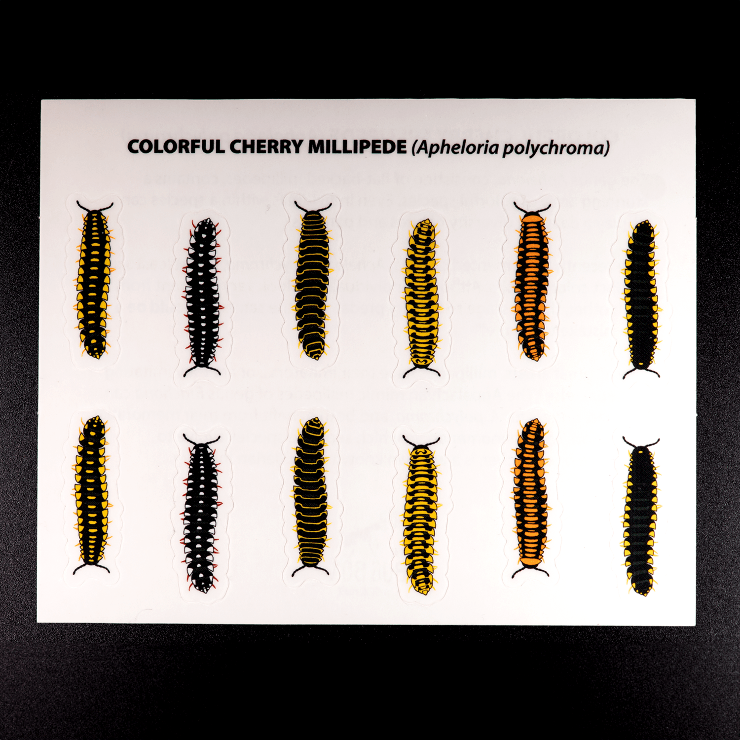 Cherry Millipede Sticker Sheet by The Roving House