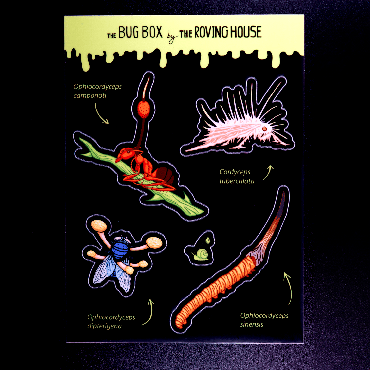Cordyceps Sticker Sheet by The Roving House