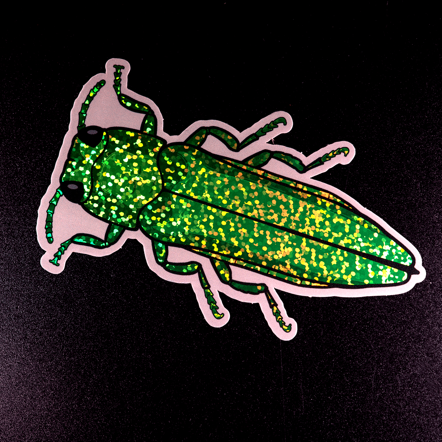 Emerald Ash Borer Sticker by The Roving House