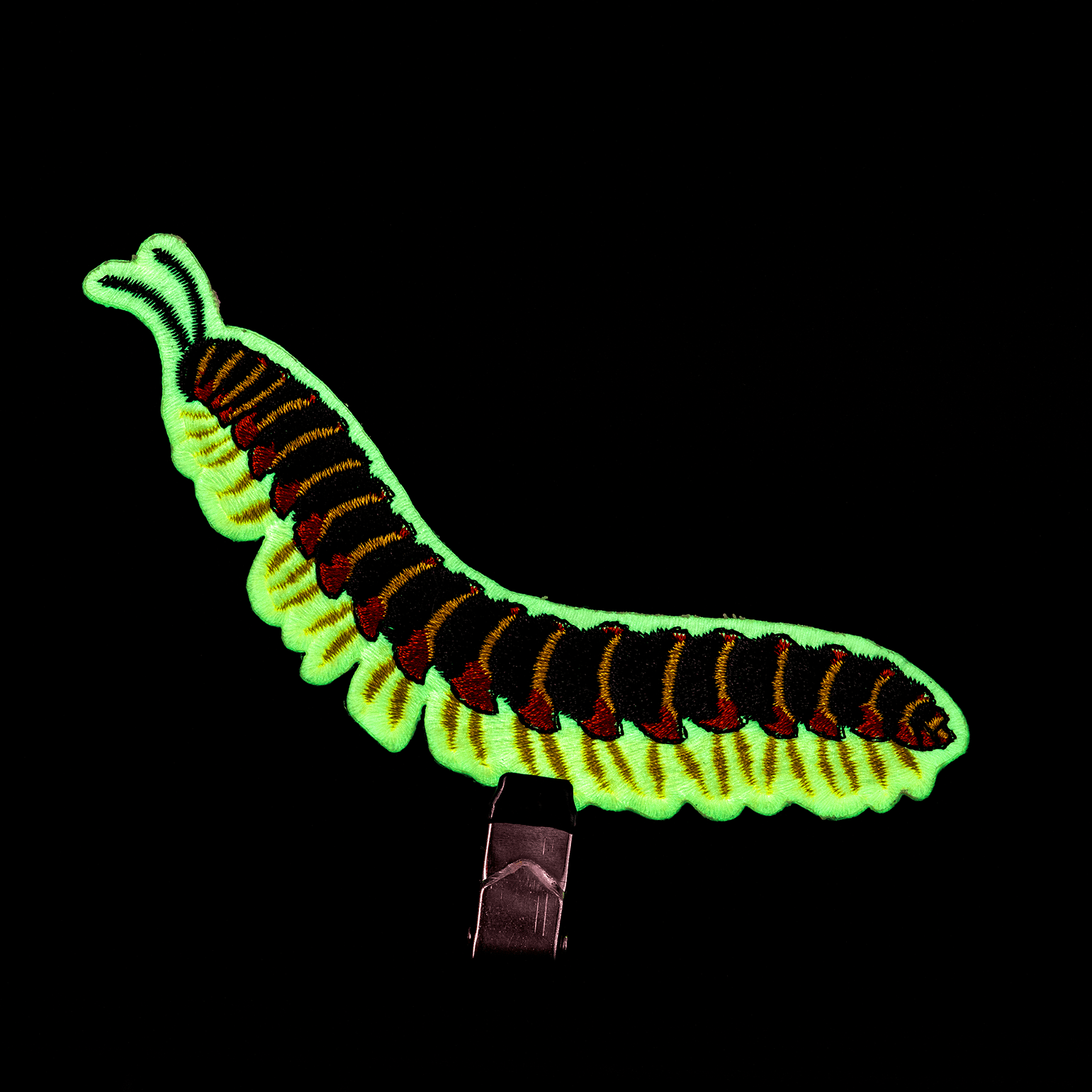 Kentucky Flat - backed Millipede Iron - on Patch by The Roving House