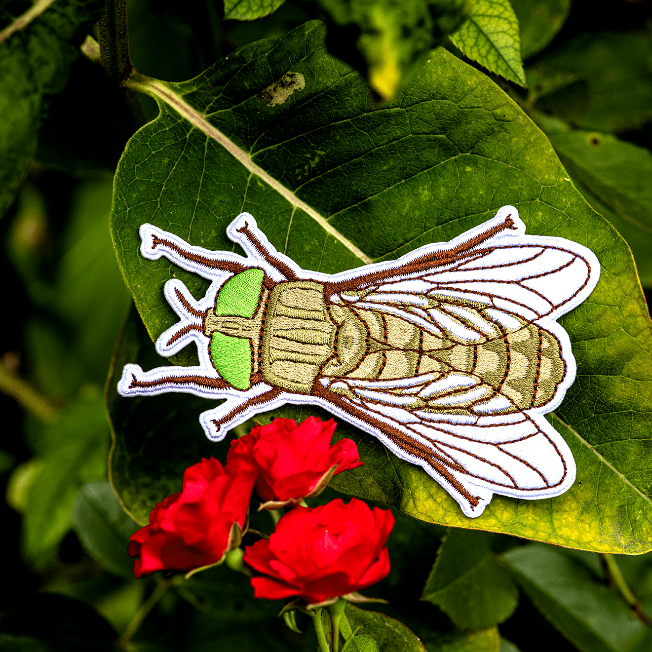Greenhead Horse Fly Iron-on Patch by The Roving House