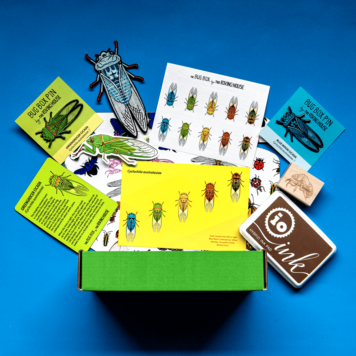 The Bug Box