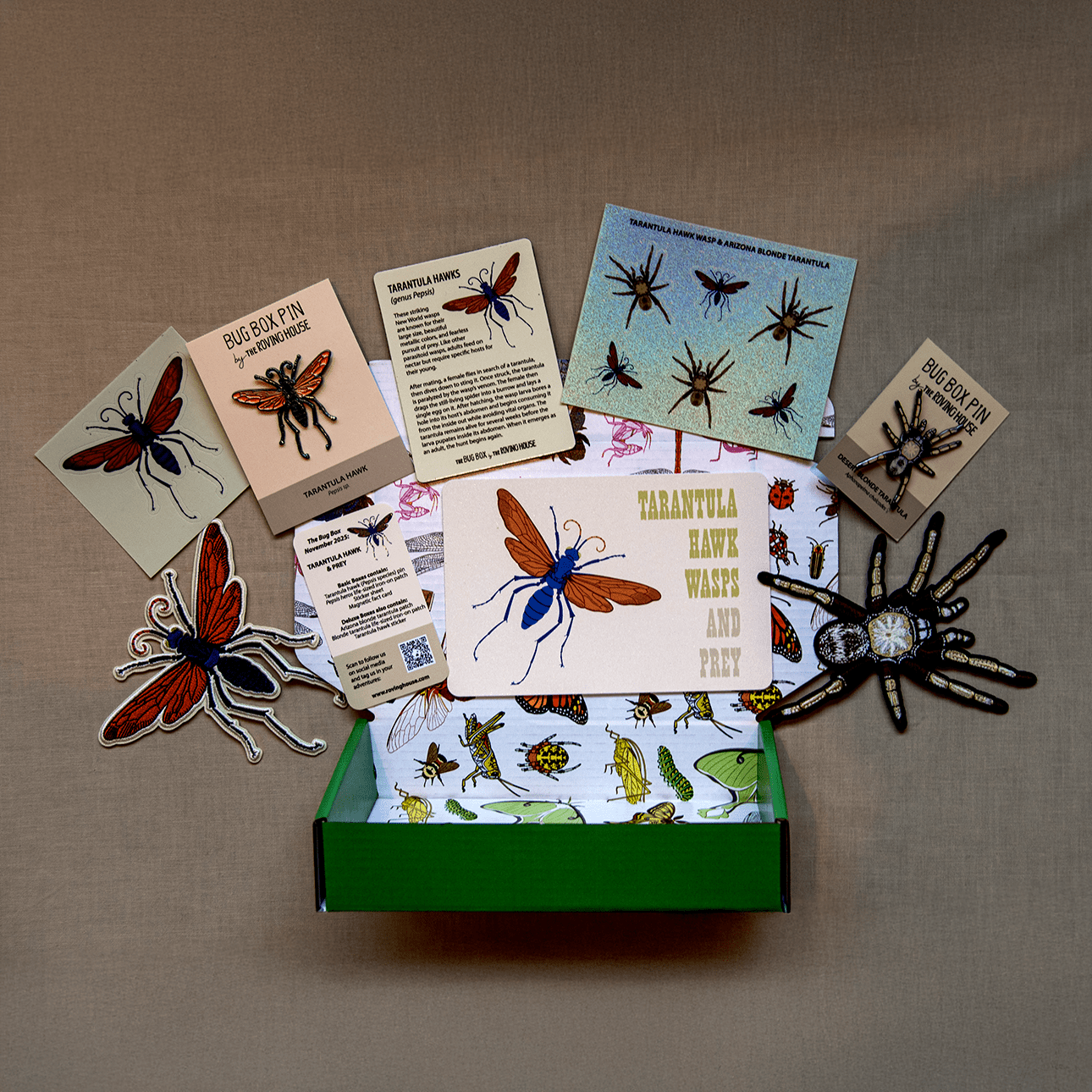 Tarantula Hawk Wasp & Prey Bug Box by The Roving House