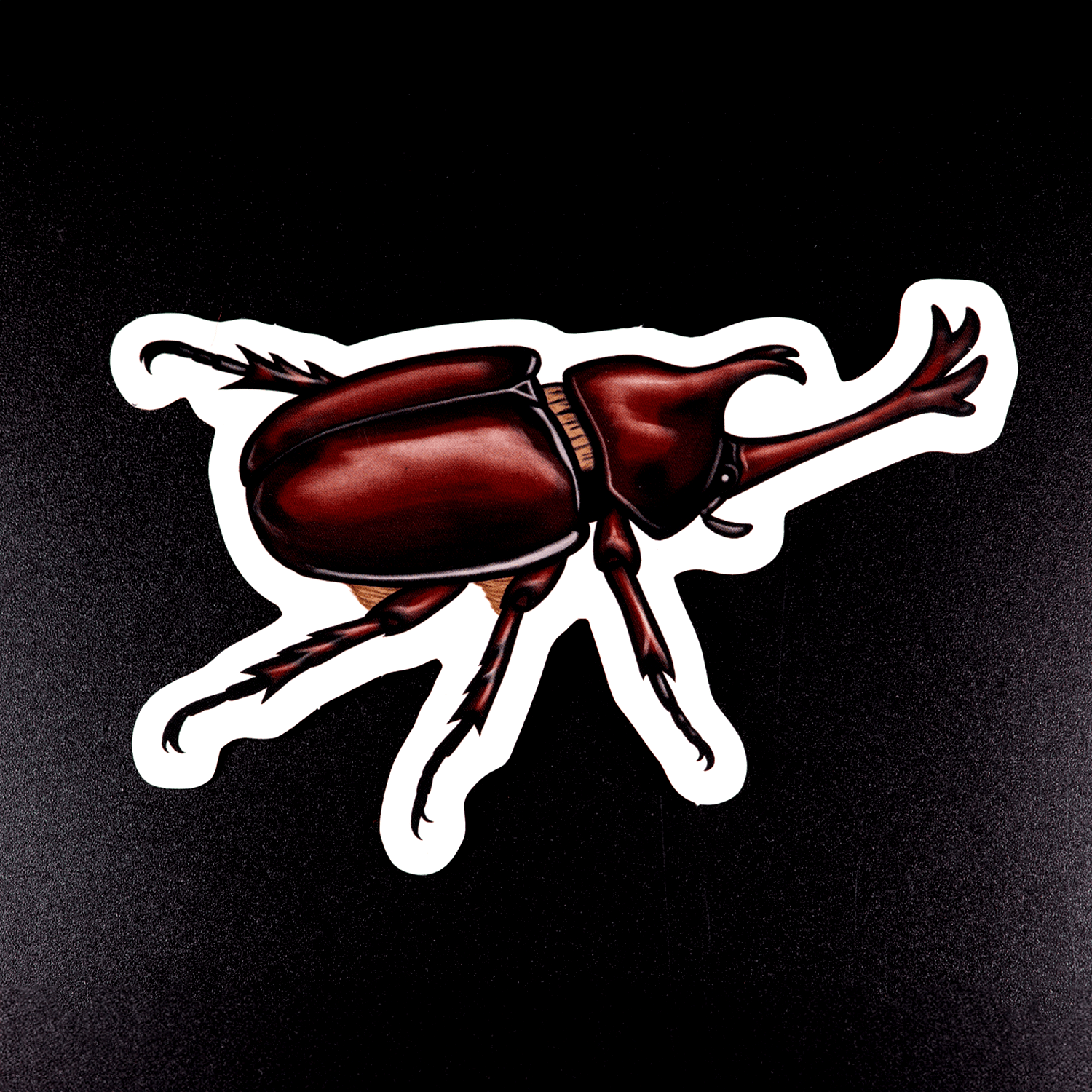 Japanese Rhinoceros Beetle Sticker by The Roving House