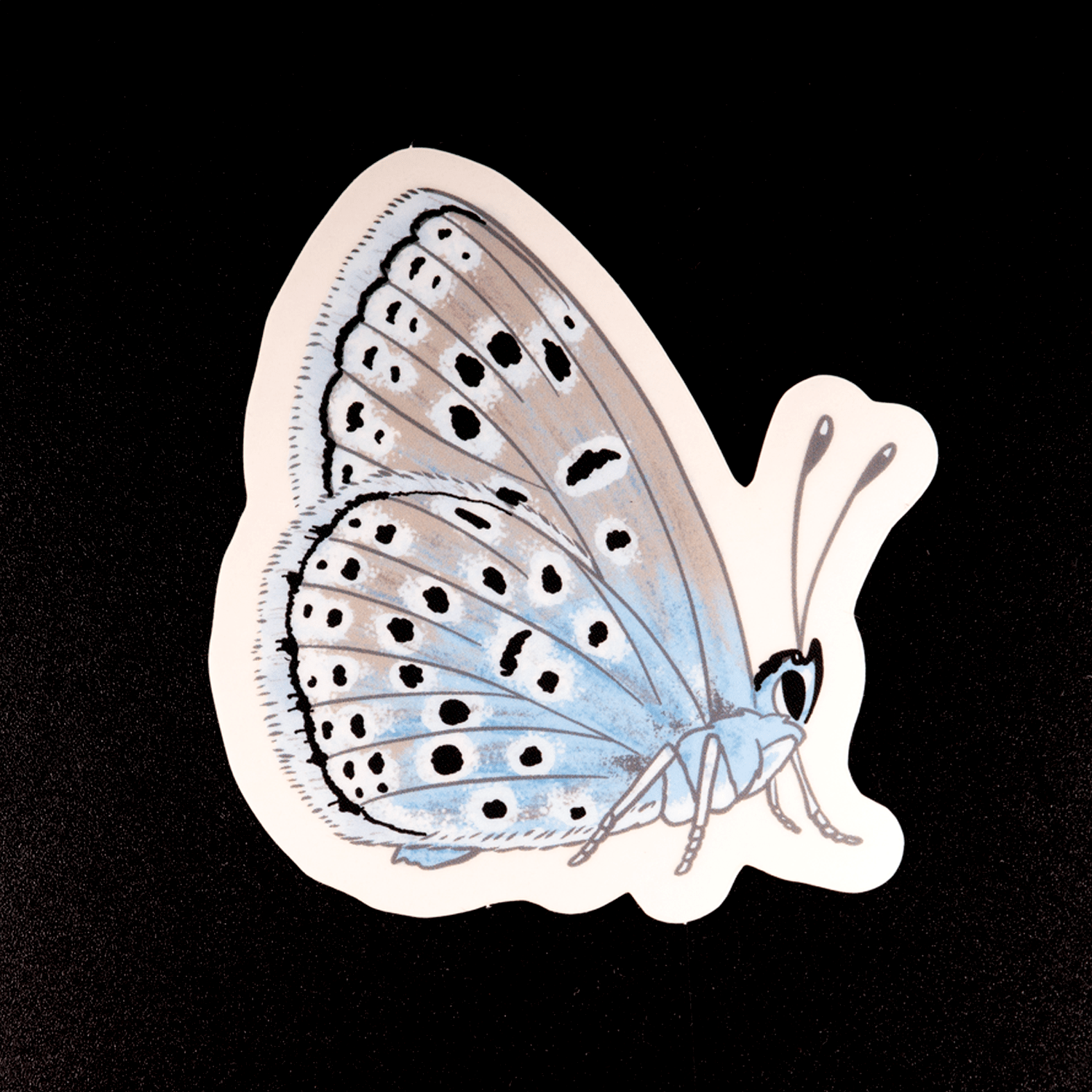 Large Blue Butterfly Sticker by The Roving House