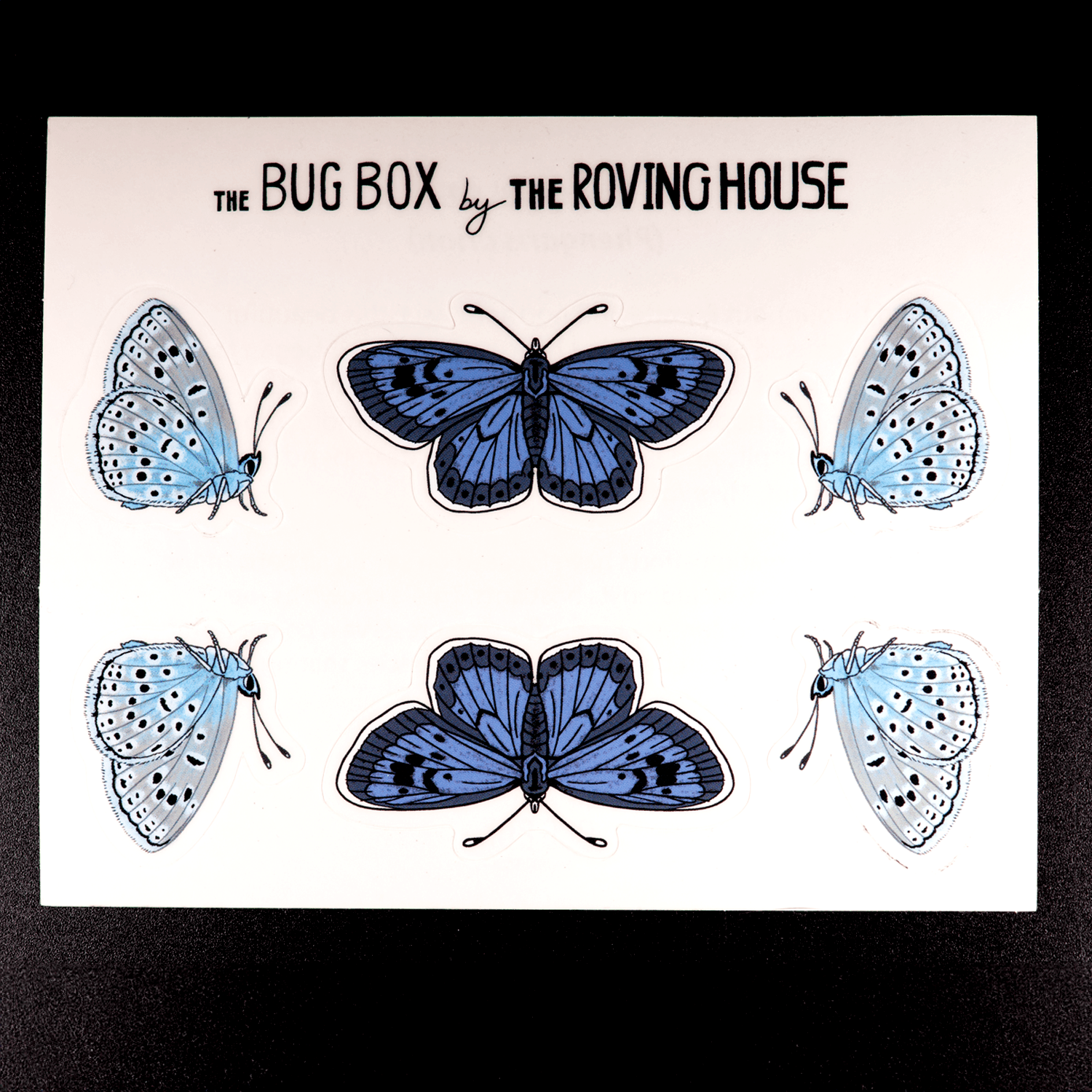 Large Blue Butterfly Sticker Sheet by The Roving House