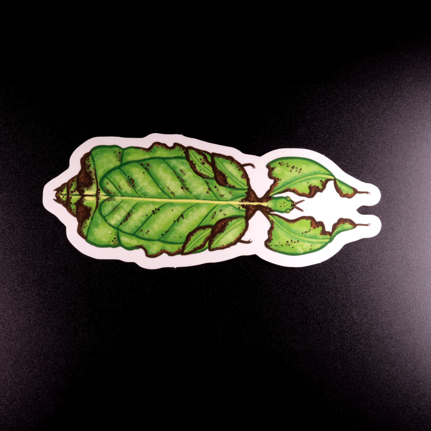 Leaf Insect Sticker by The Roving House
