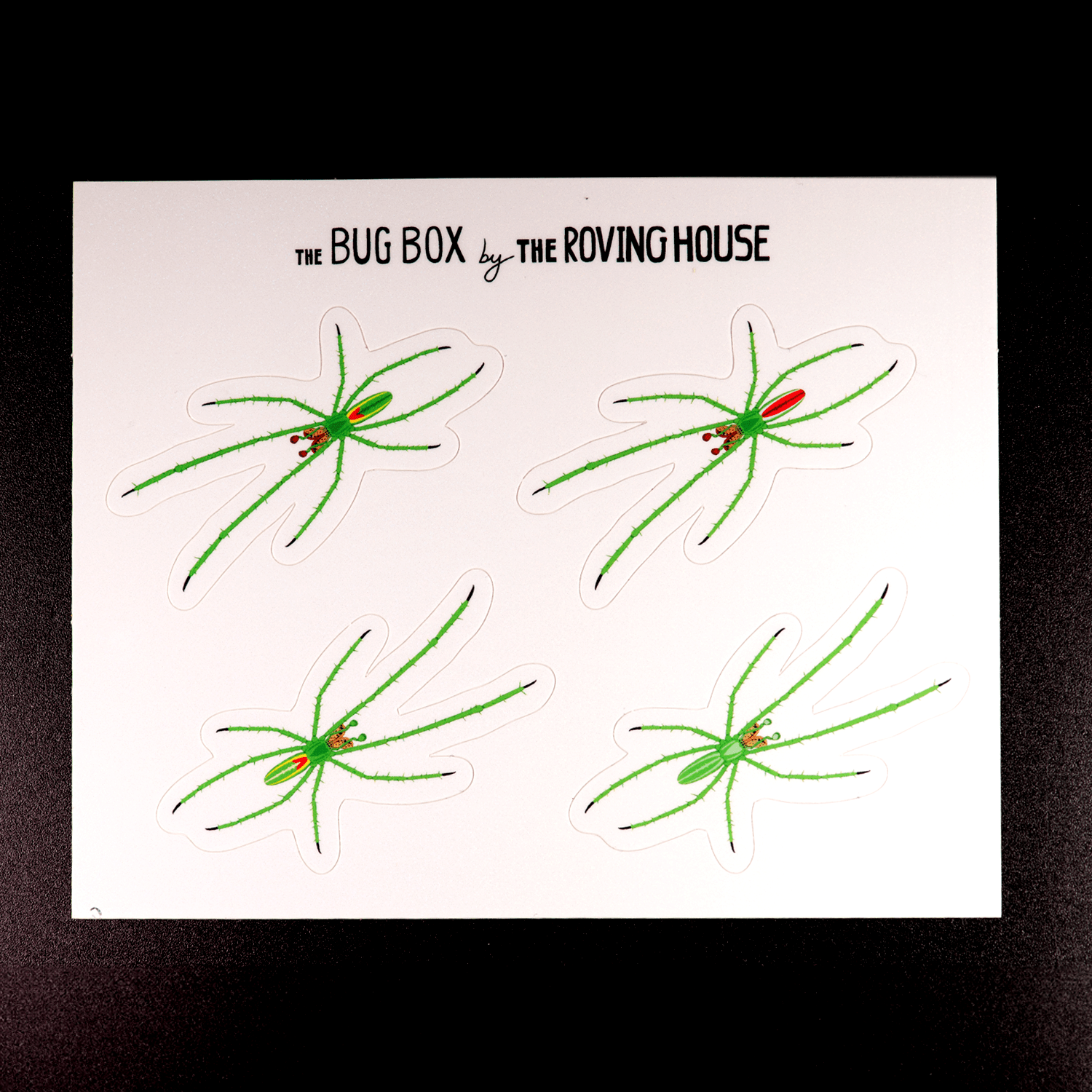 Long Jawed Orb Weaver Sticker Sheet by The Roving House