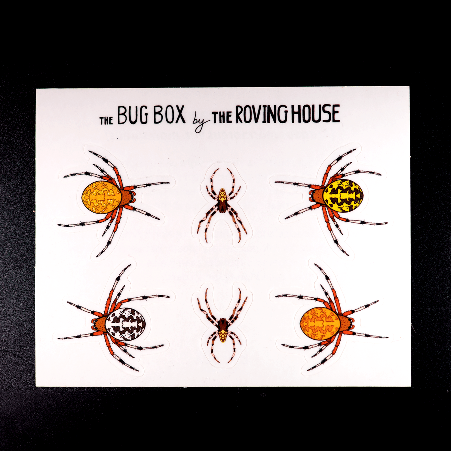 Marbled Orb Weaver Sticker Sheet by The Roving House
