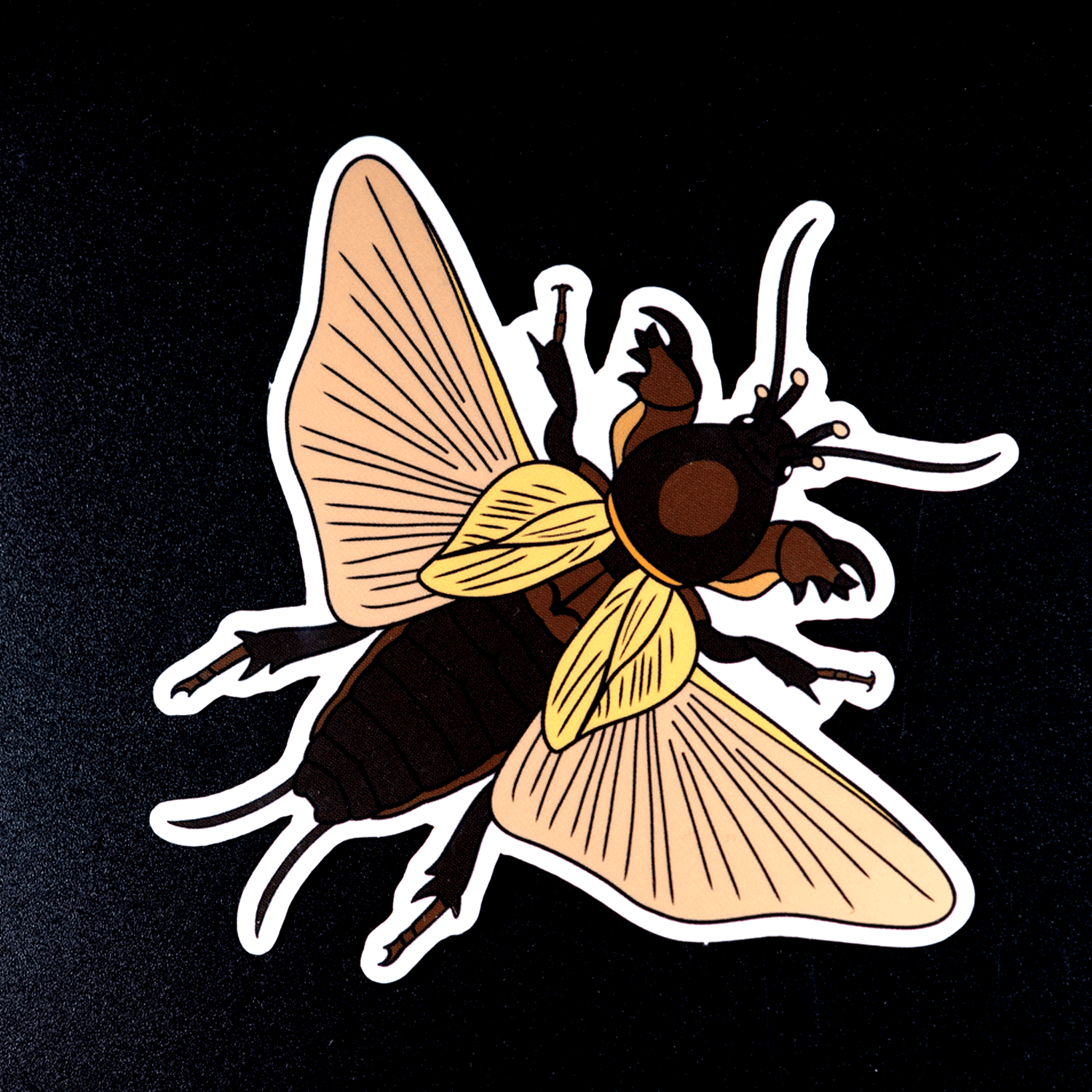 European Mole Cricket Sticker by The Roving House