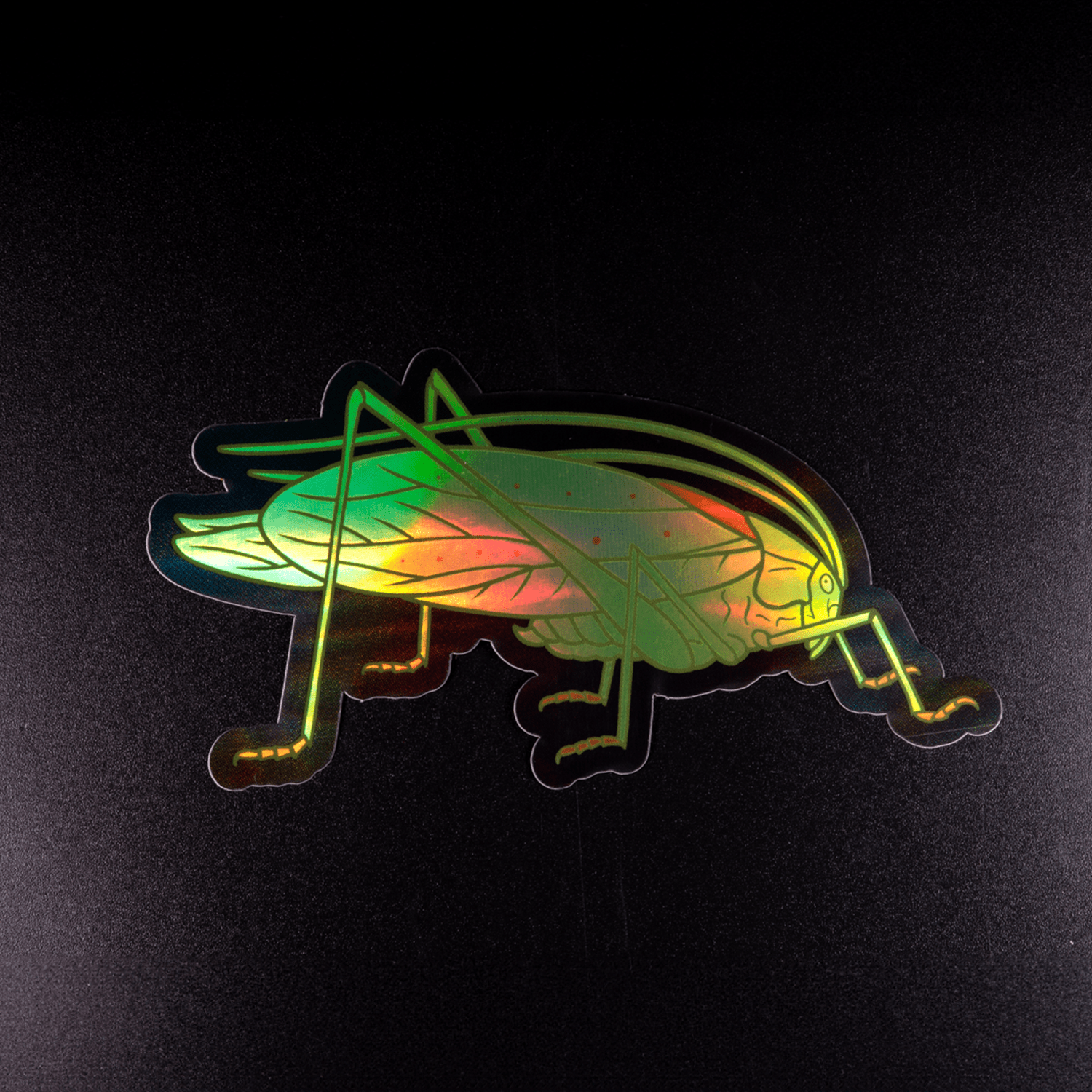 Oblong - winged Katydid Sticker by The Roving House