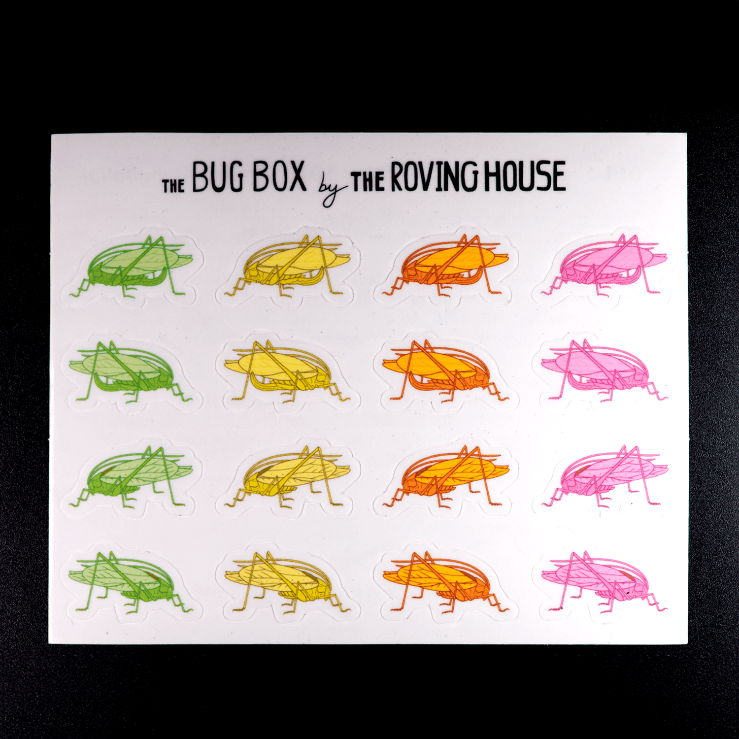 Oblong Winged Katydid Sticket Sheet by The Roving House