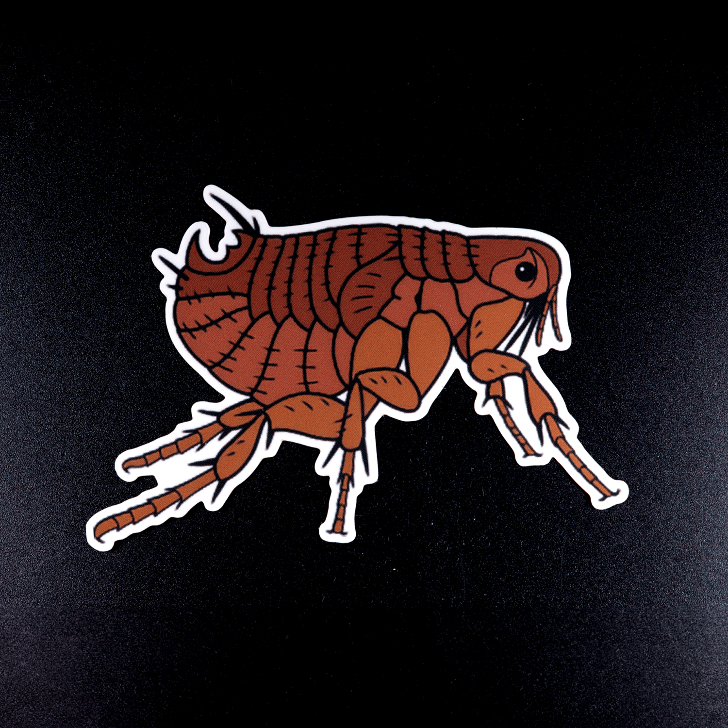 Rat Flea Sticker by The Roving House