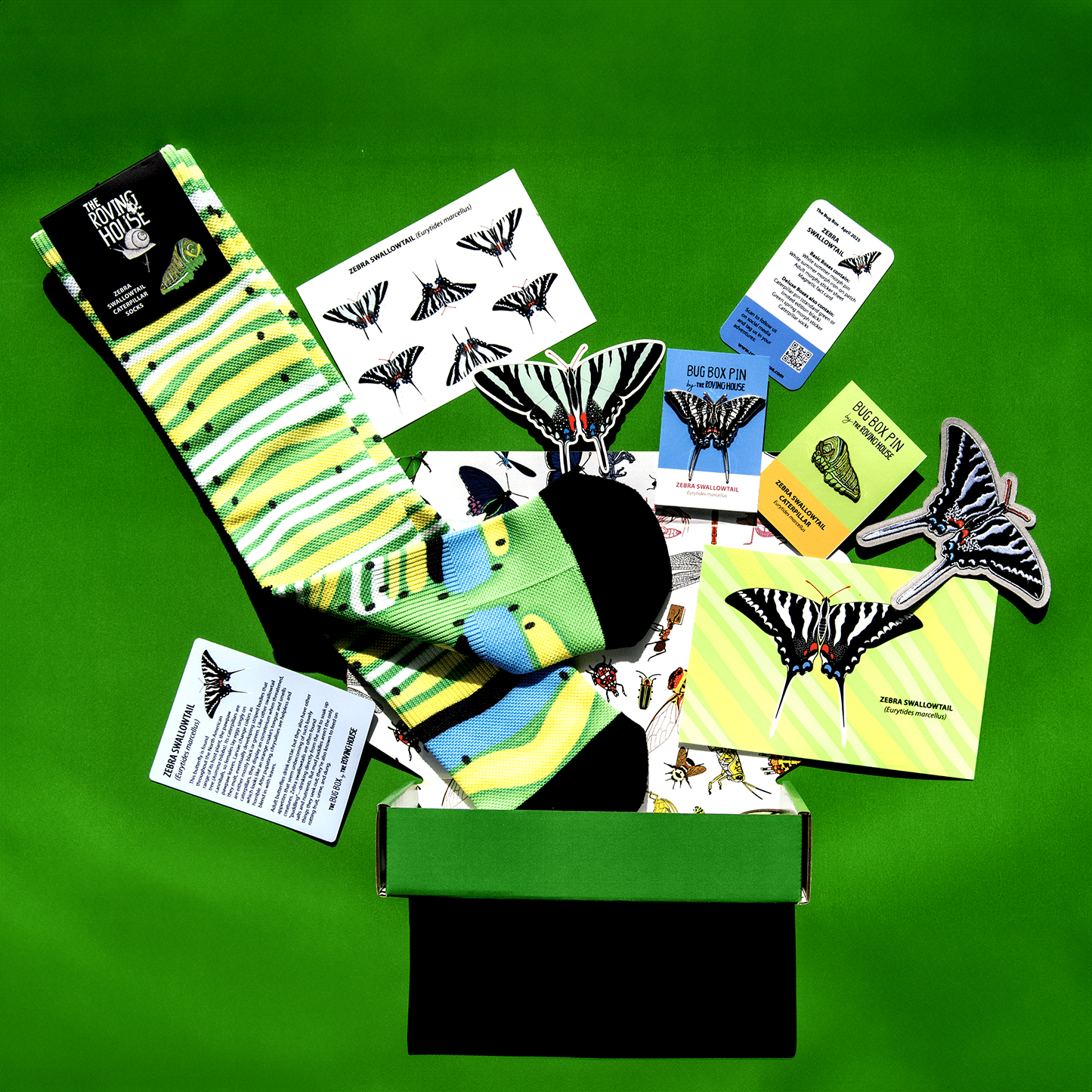 Zebra Swallowtail Bug Box by The Roving House