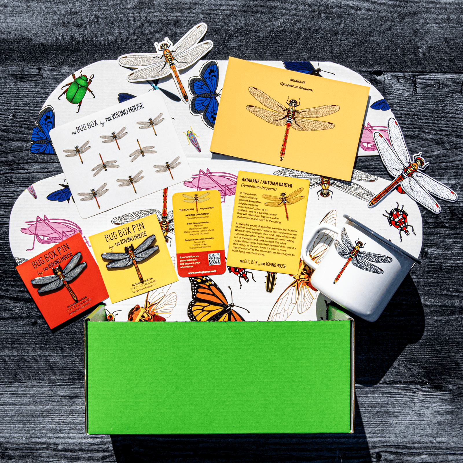 The Bug Box