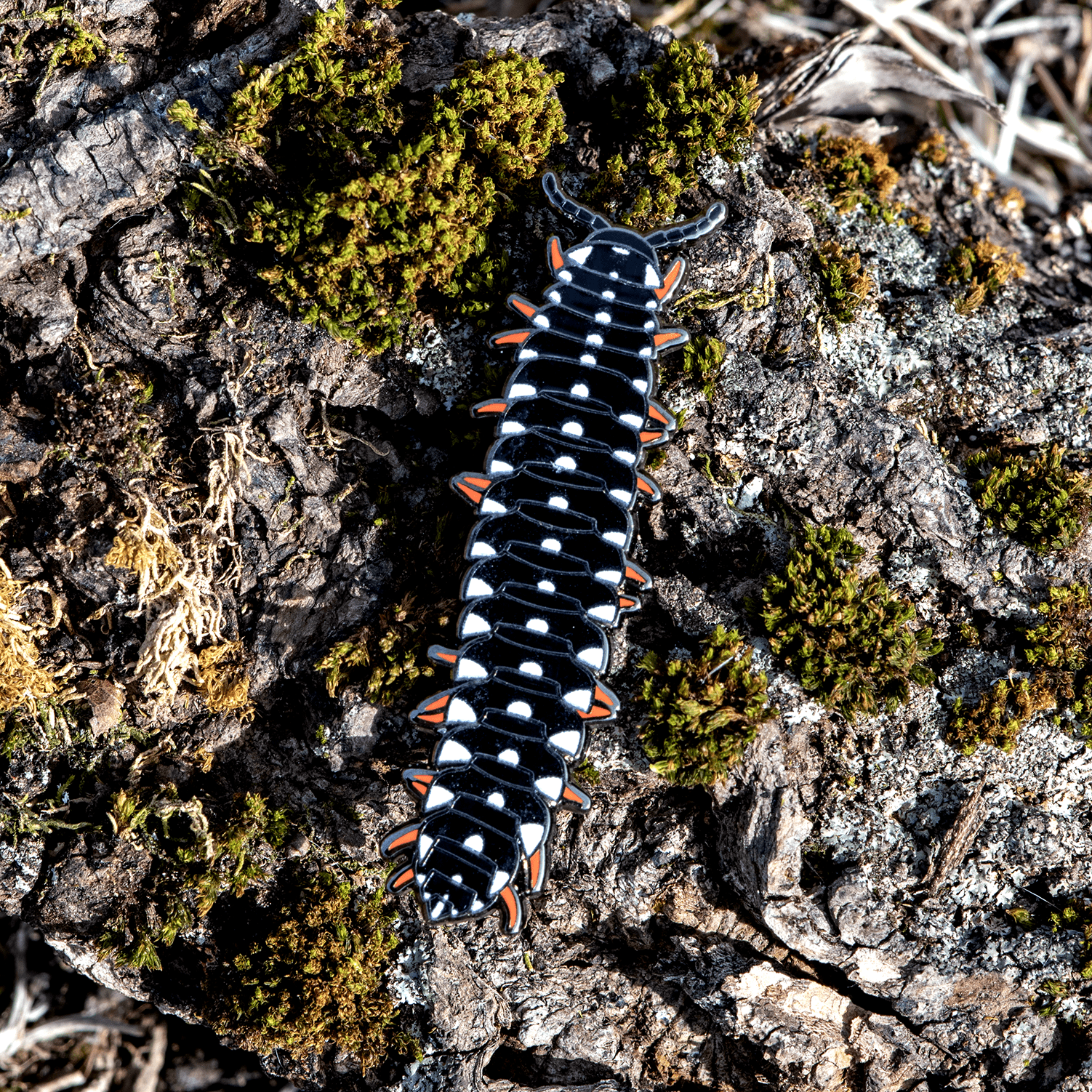 Colorful Cherry Millipede Enamel Pin by The Roving House