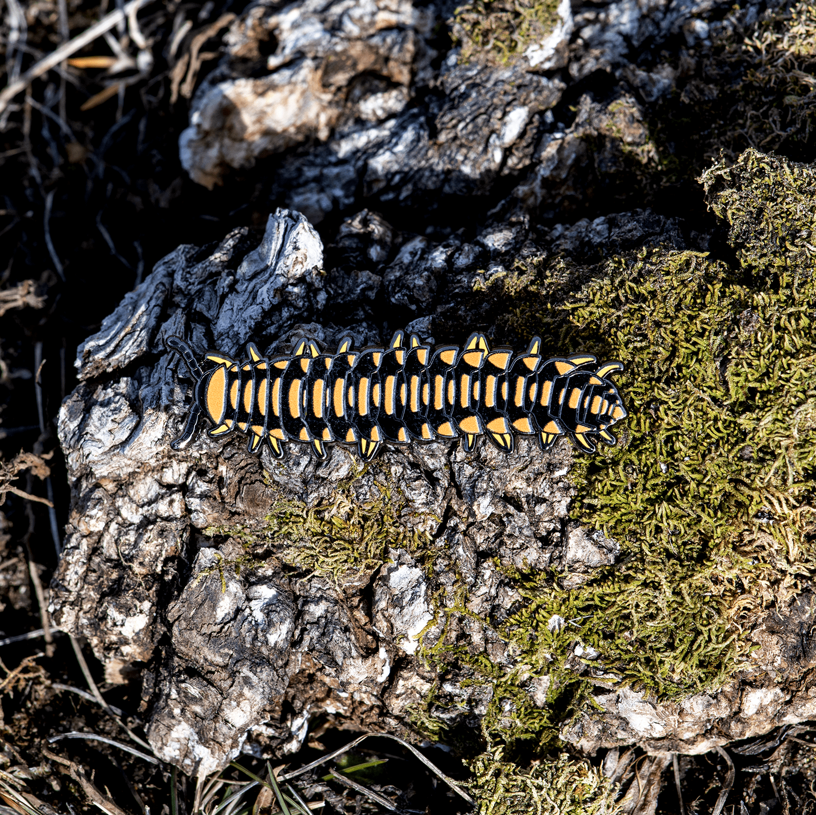 Colorful Cherry Millipede Enamel Pin by The Roving House