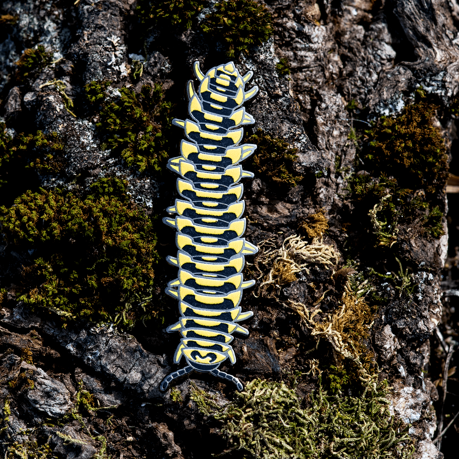 Colorful Cherry Millipede Enamel Pin by The Roving House