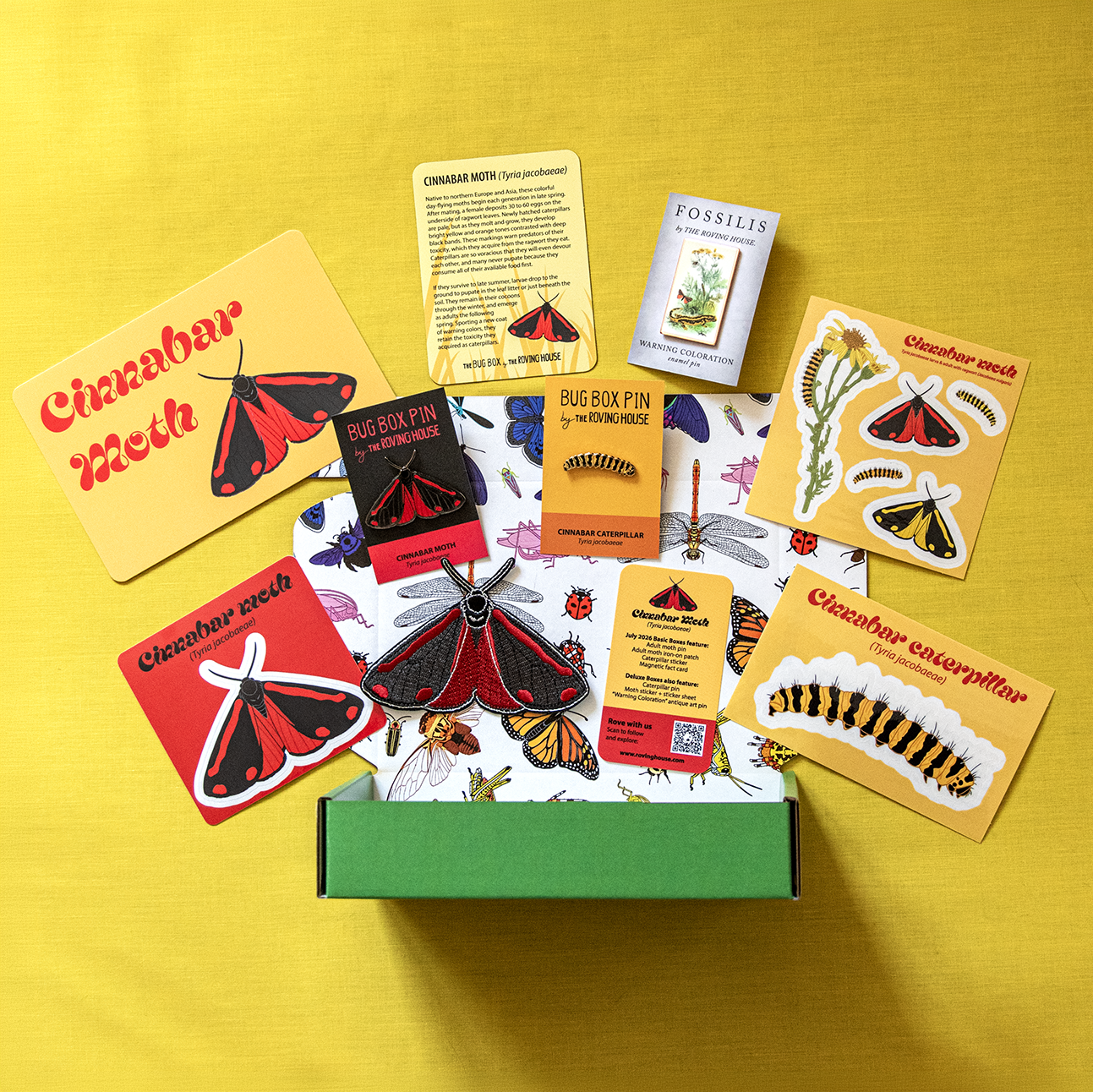Cinnabar Moth Bug Box