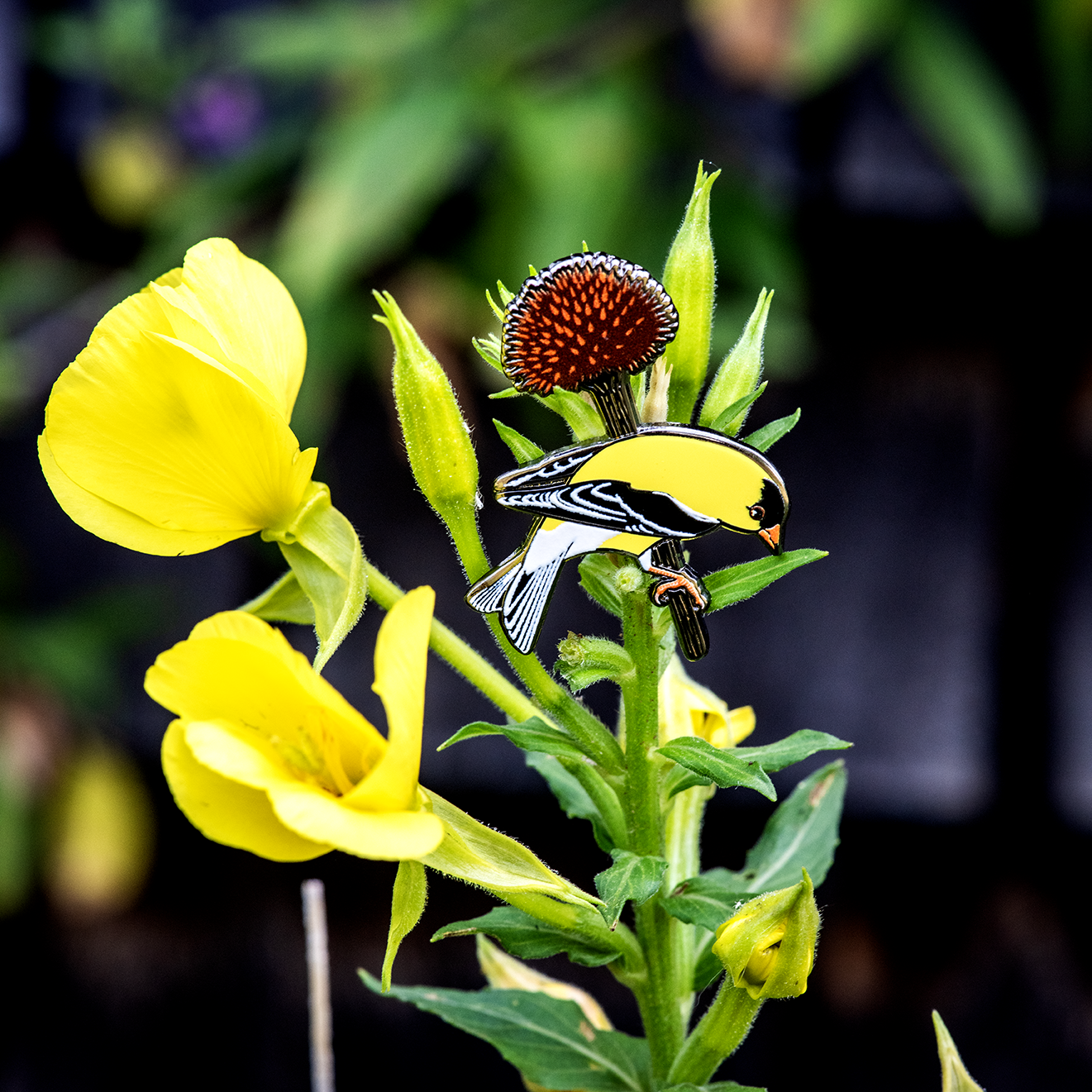 American Goldfinch Enamel Pin