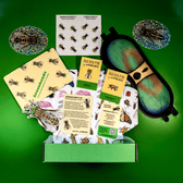 The Bug Box
