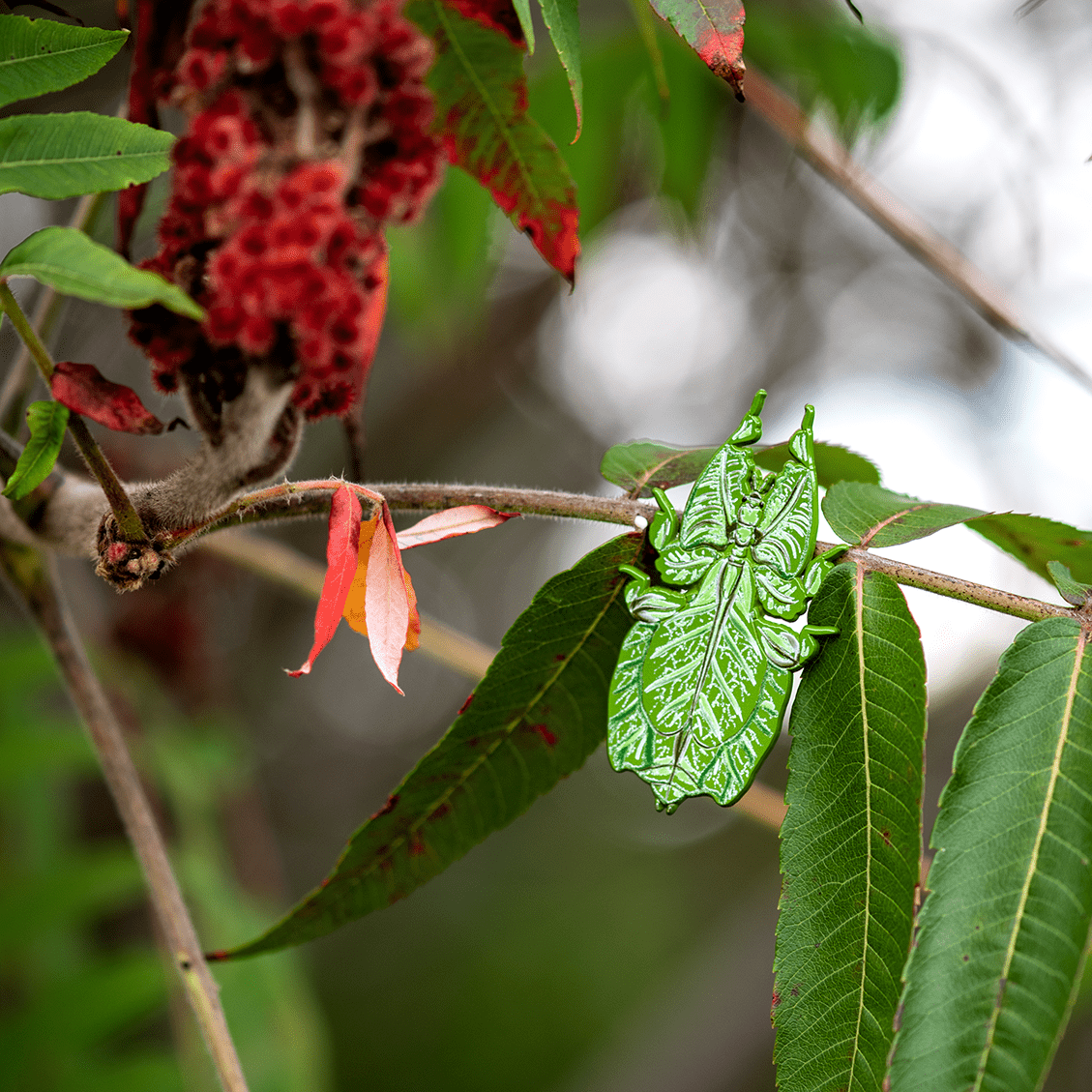 Walking Leaf Insect Enamel Pin