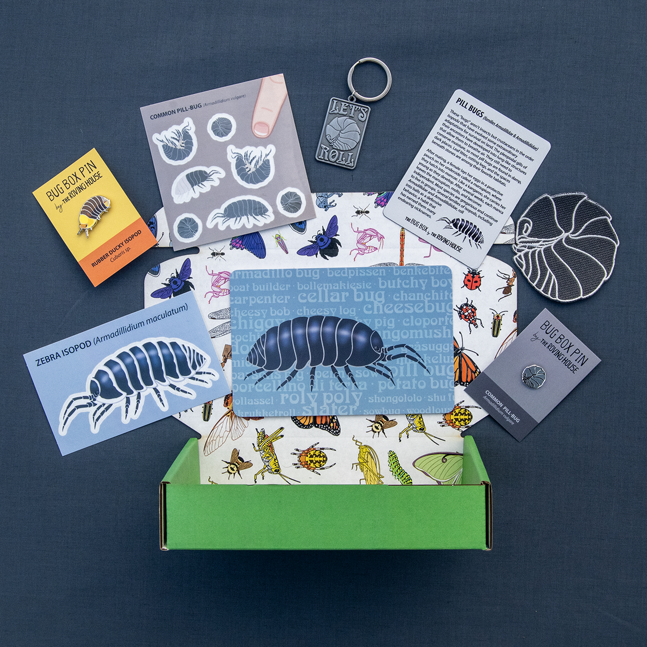 Isopod Bug Box