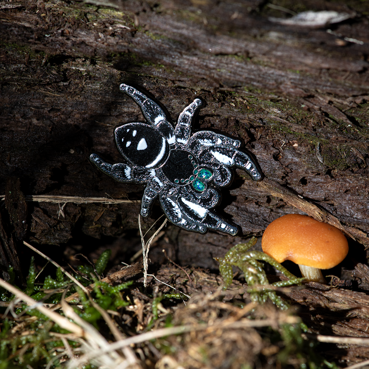 Regal Jumping Spider Male Enamel Pin