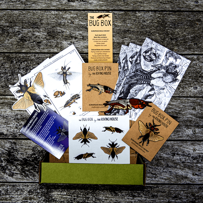 The Bug Box